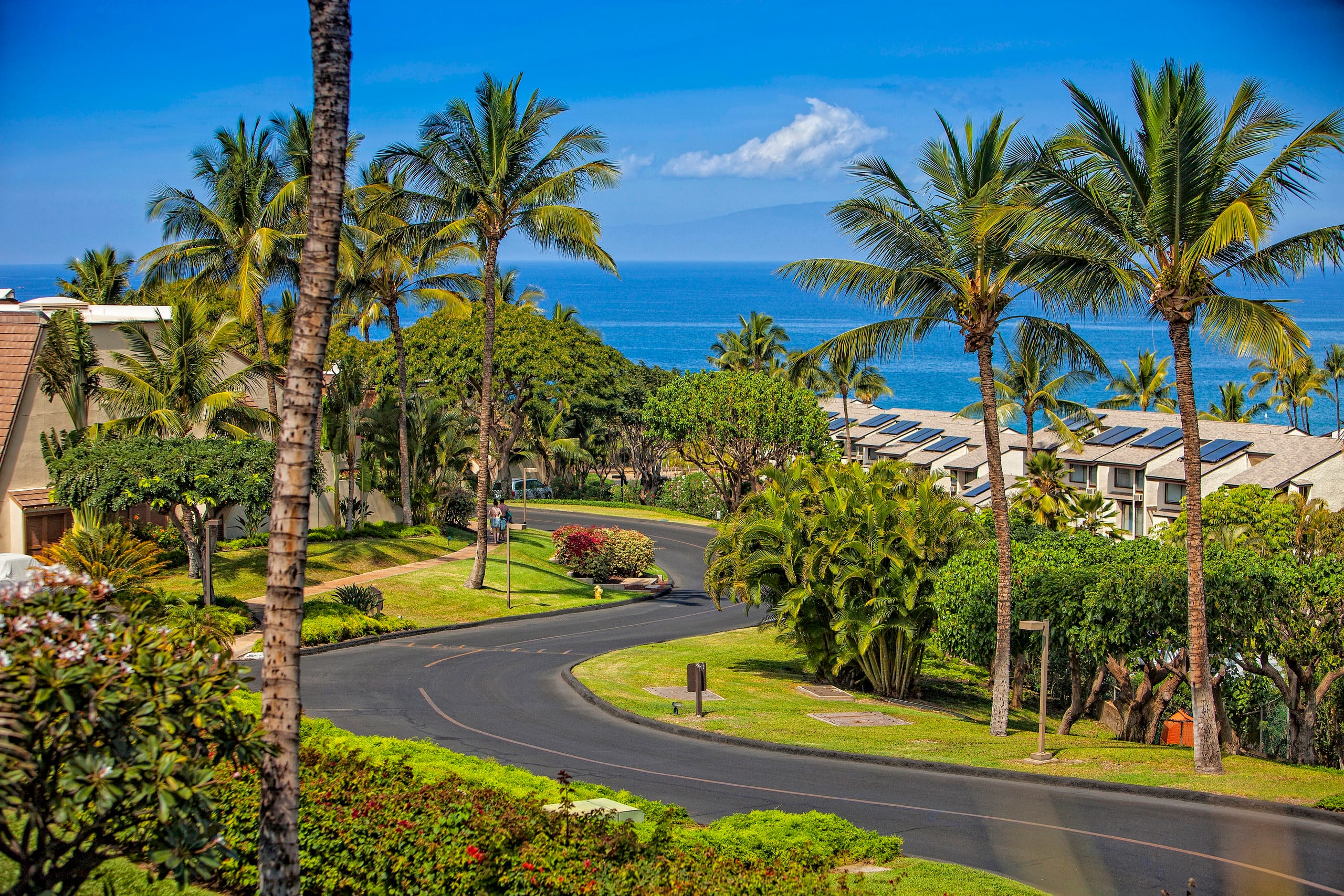 Condo in Kihei · ★4.91 · 1 bedroom · 2 beds · 2 private baths - Image 32