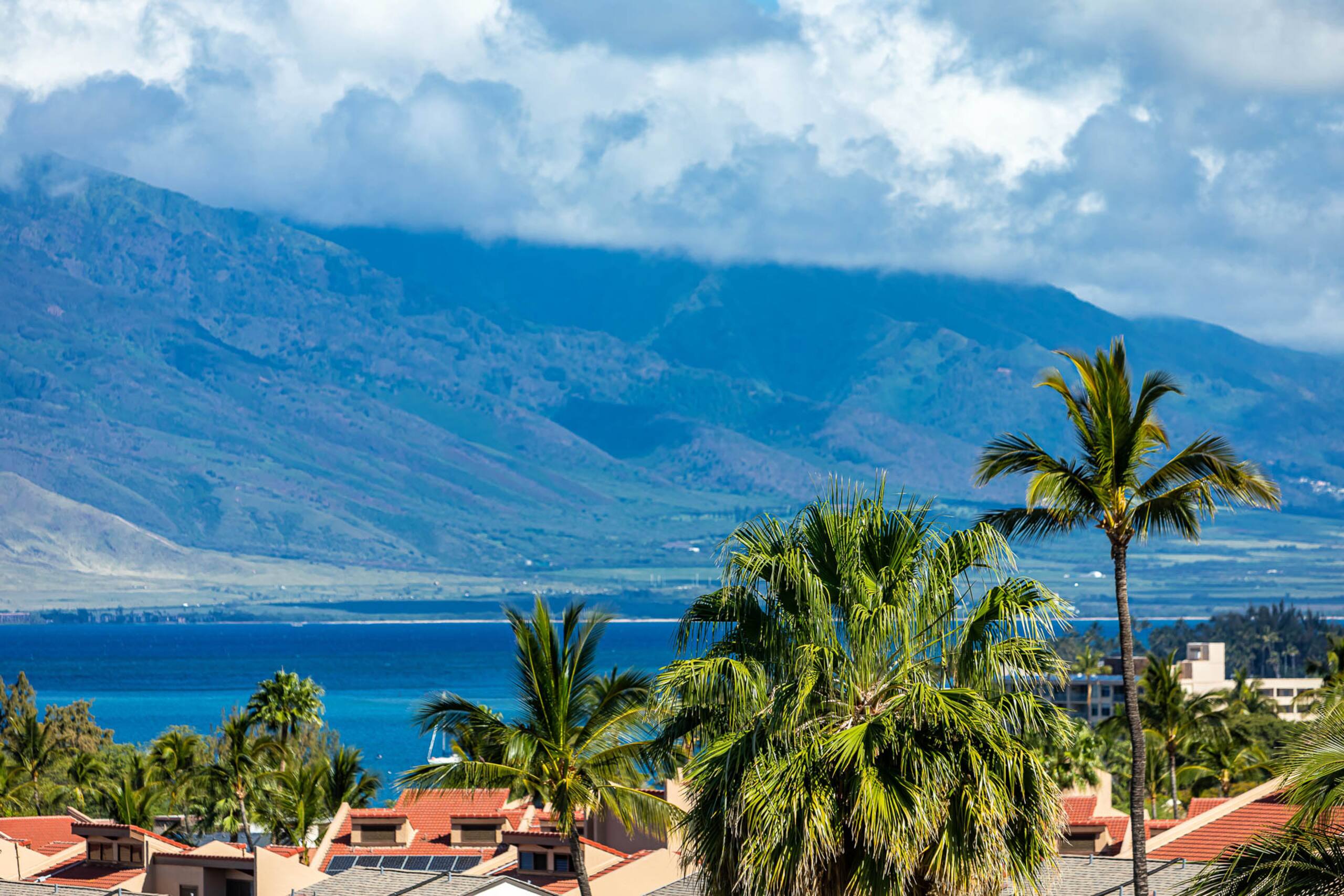 Condo in Kihei · ★4.8 · 2 bedrooms · 3 beds · 2 private baths - Image 37