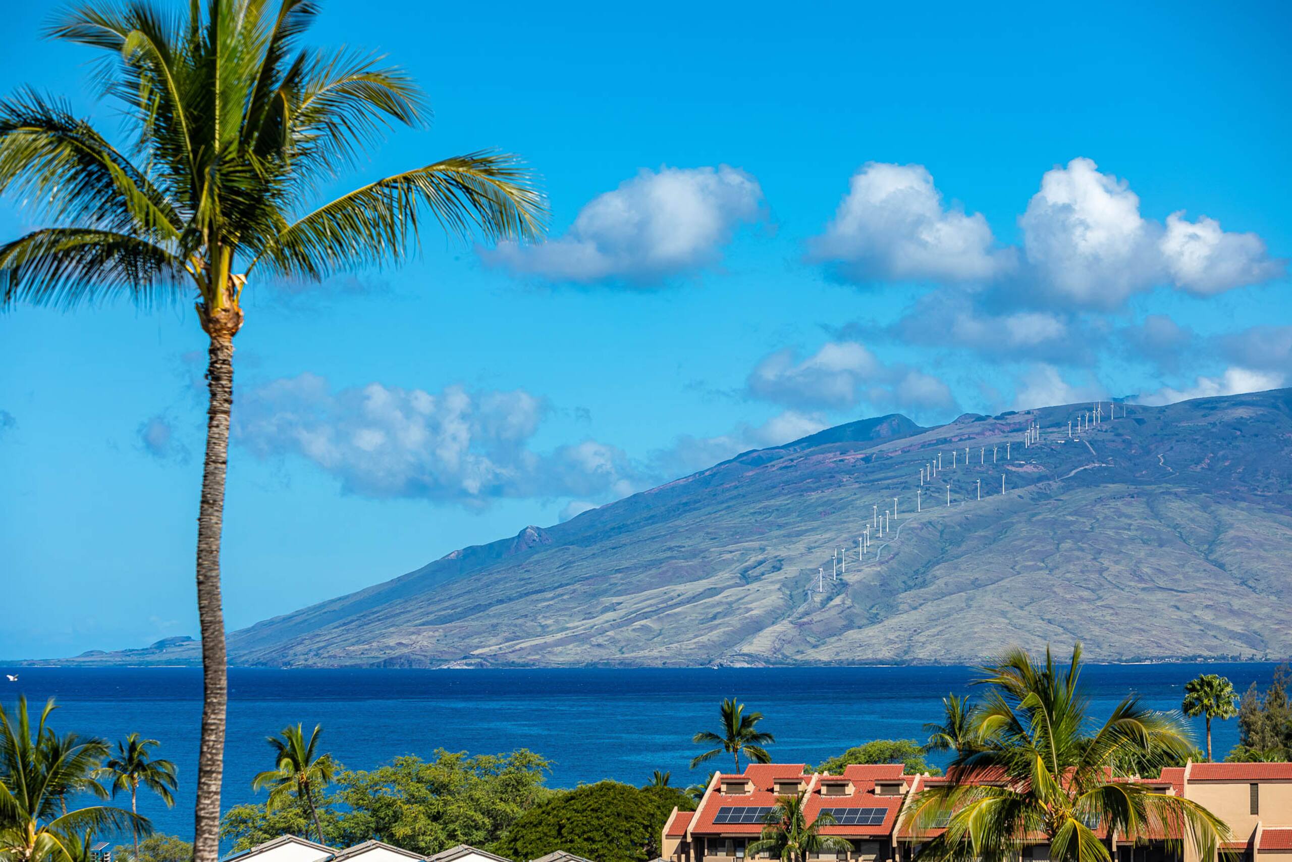 Condo in Kihei · ★4.8 · 2 bedrooms · 3 beds · 2 private baths - Image 38