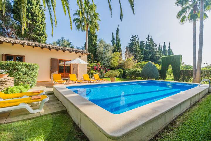 Cati Sontoiri gallery image 2