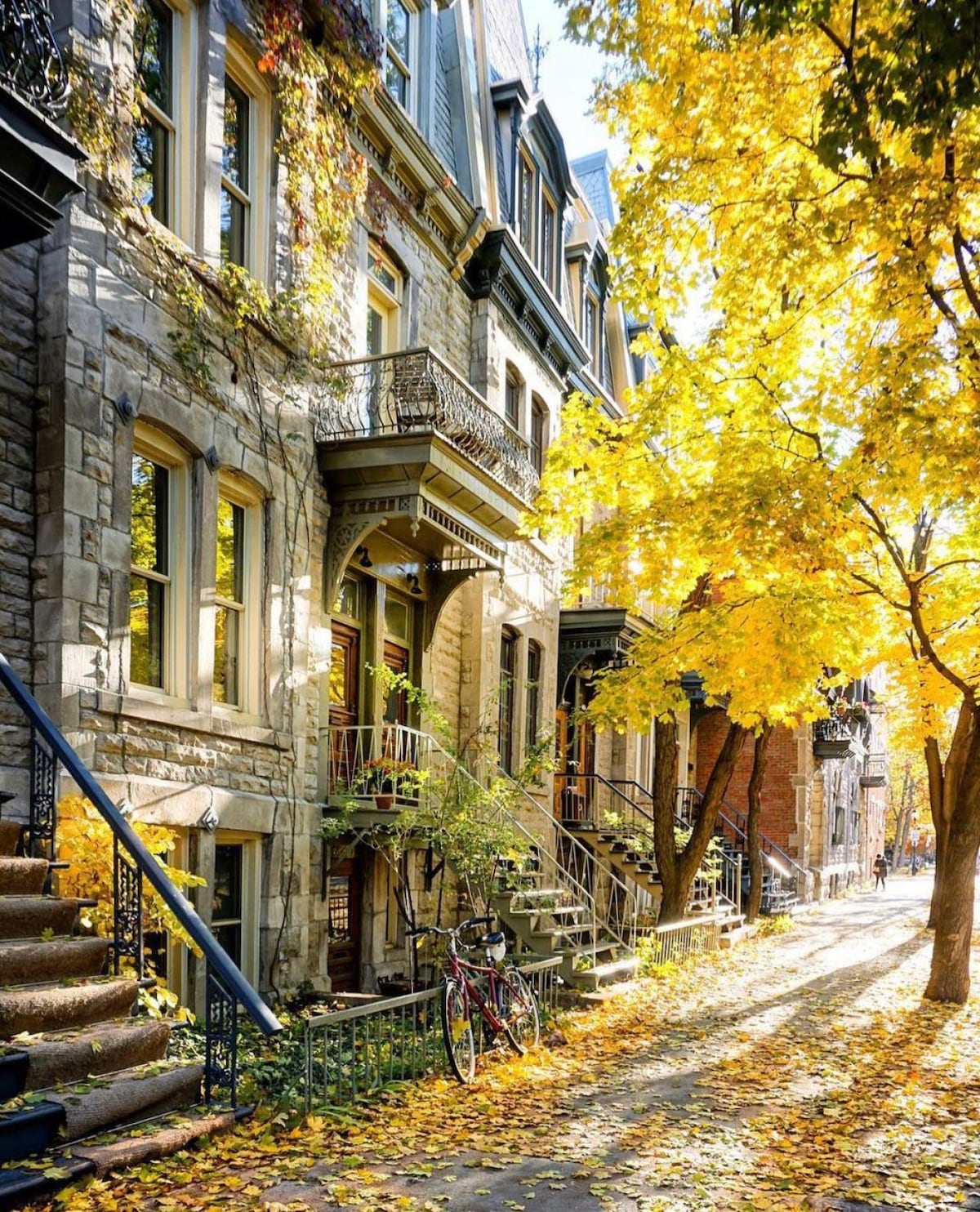 The image depicts charming historical buildings along a tree-lined street adorned with autumn leaves. Warm sunlight filters through the golden foliage, highlighting the intricate stonework of the architecture. A bicycle leans against the railing, contributing to the inviting neighborhood atmosphere.