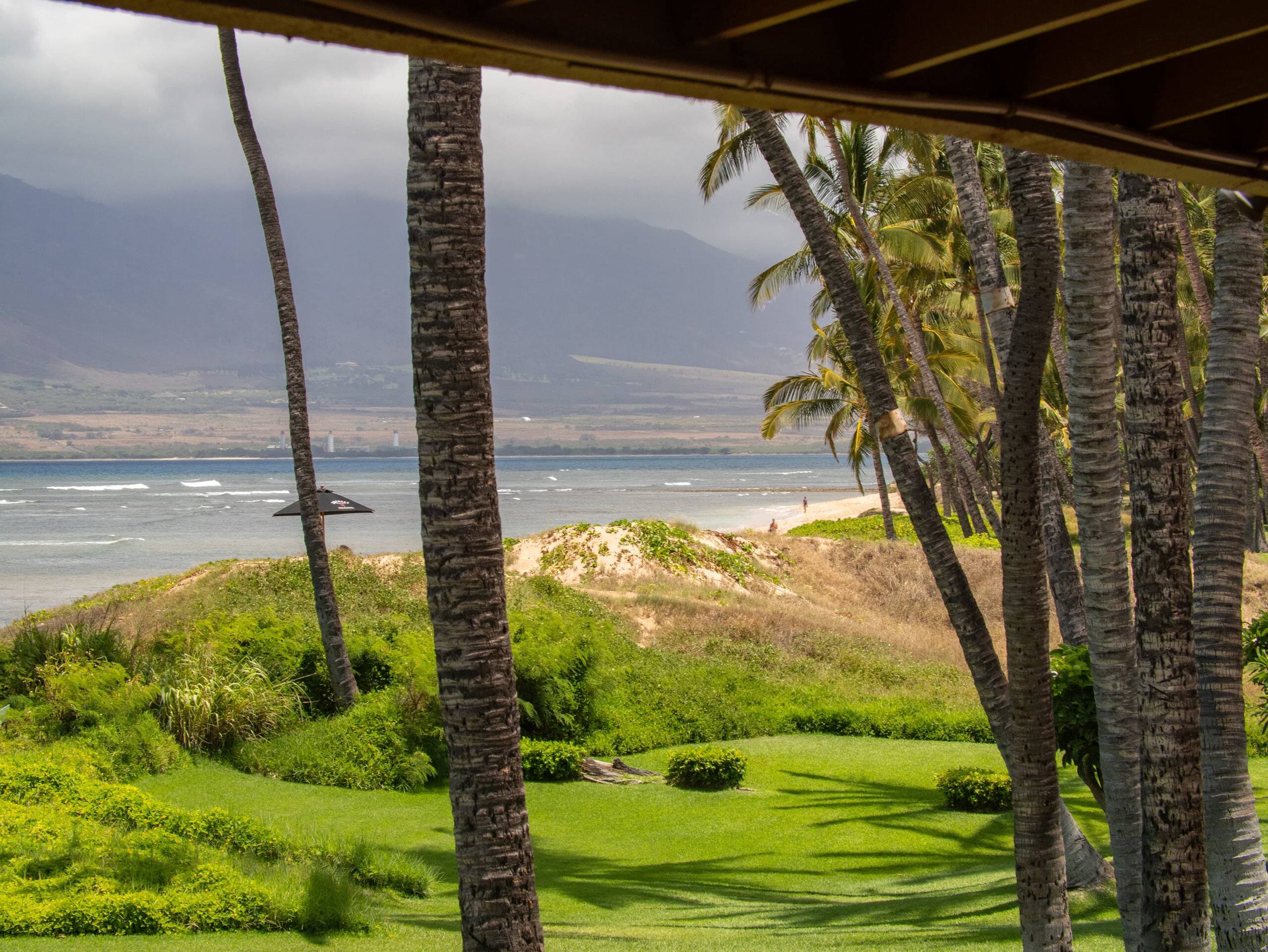 Condo in Kihei · ★4.96 · 1 bedroom · 2 beds · 1 bath - Image 7