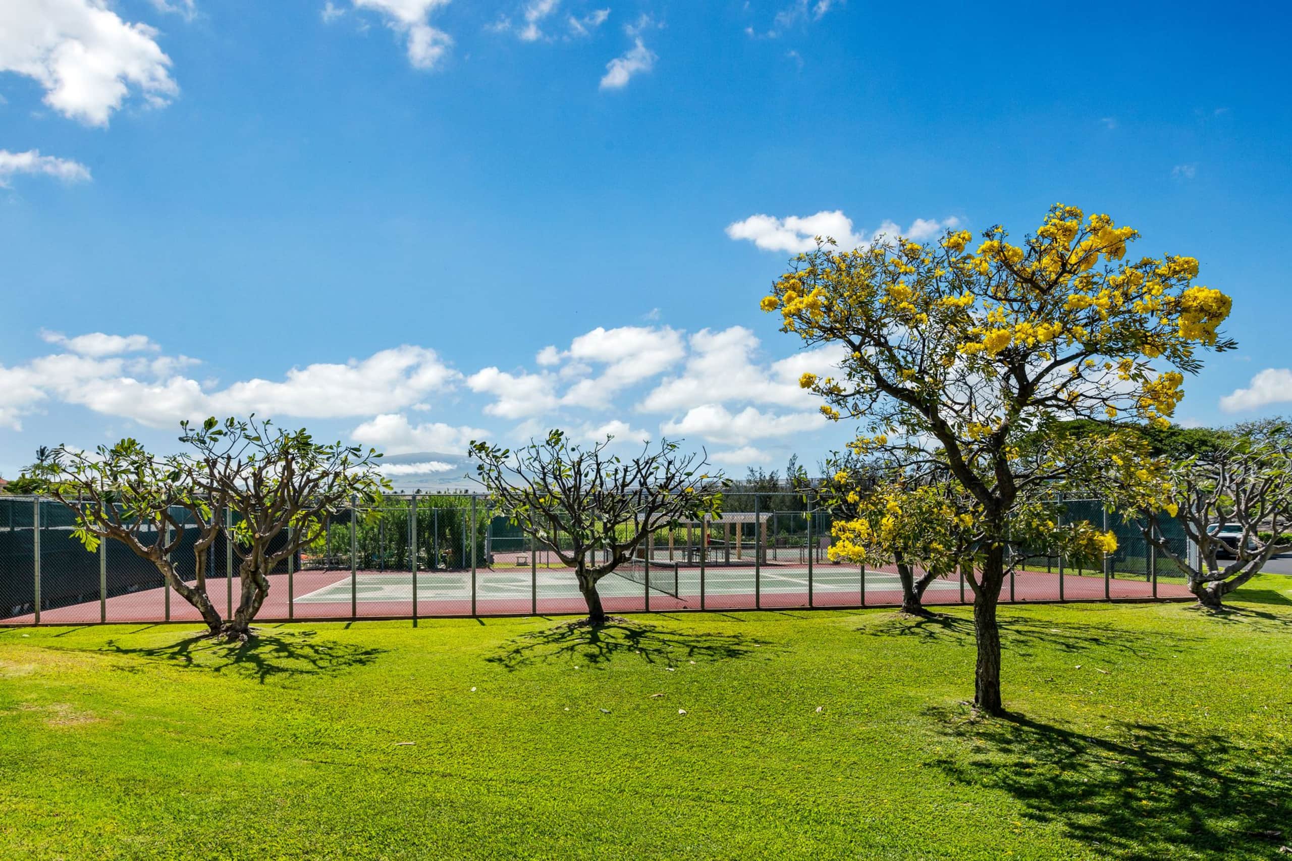 Kohala Coast condo w/ golf views and lanai - Photo 27