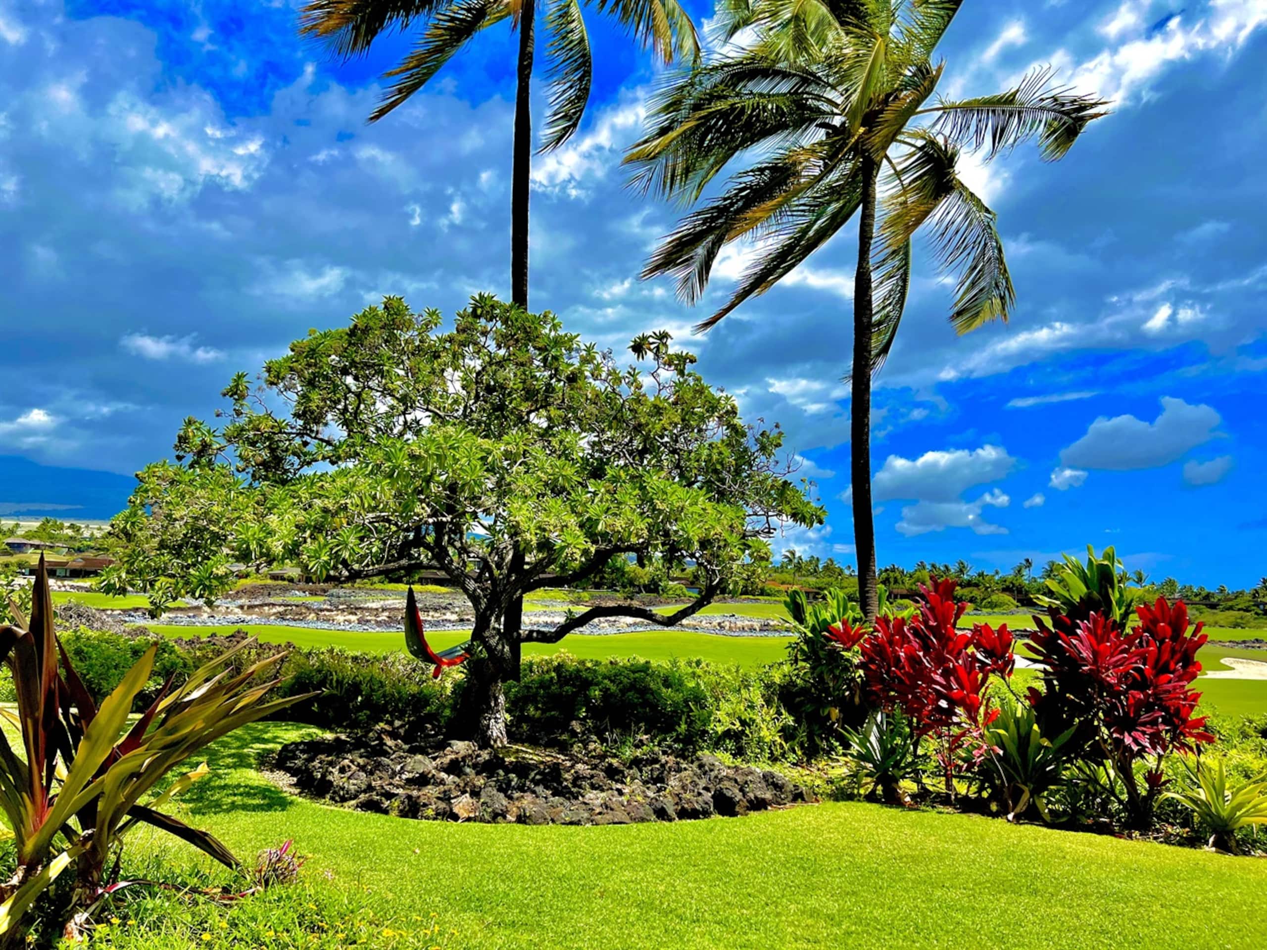 Villa in Kailua-Kona · ★5.0 · 2 bedrooms · 3 beds · 2 baths - Image 32