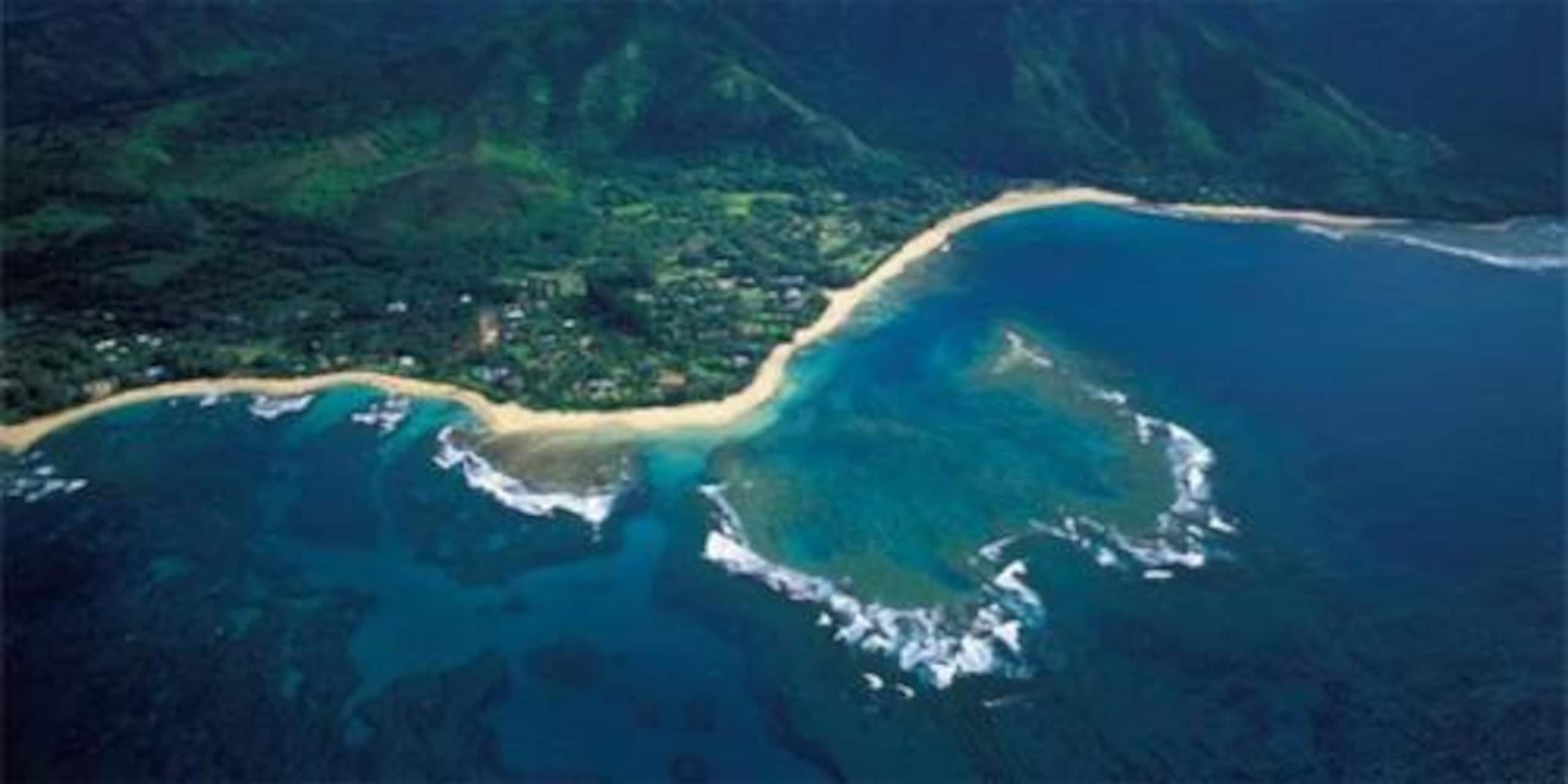Condo in Princeville · ★4.99 · Studio · 1 bed · 1 bath - Image 20