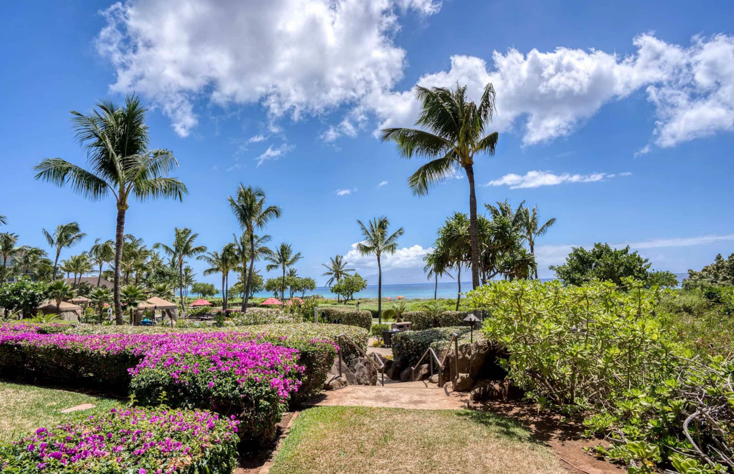 Condo in Lahaina · ★4.84 · 1 bedroom · 2 beds · 1 bath - Image 23