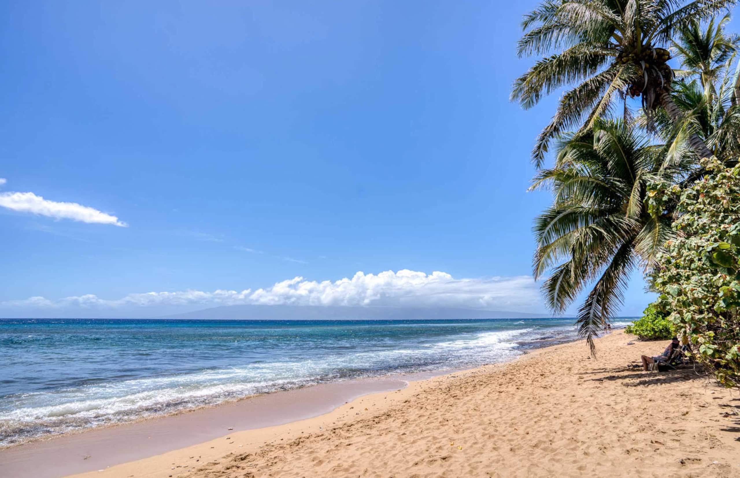 Condo in Lahaina · ★4.84 · 1 bedroom · 2 beds · 1 bath - Image 26