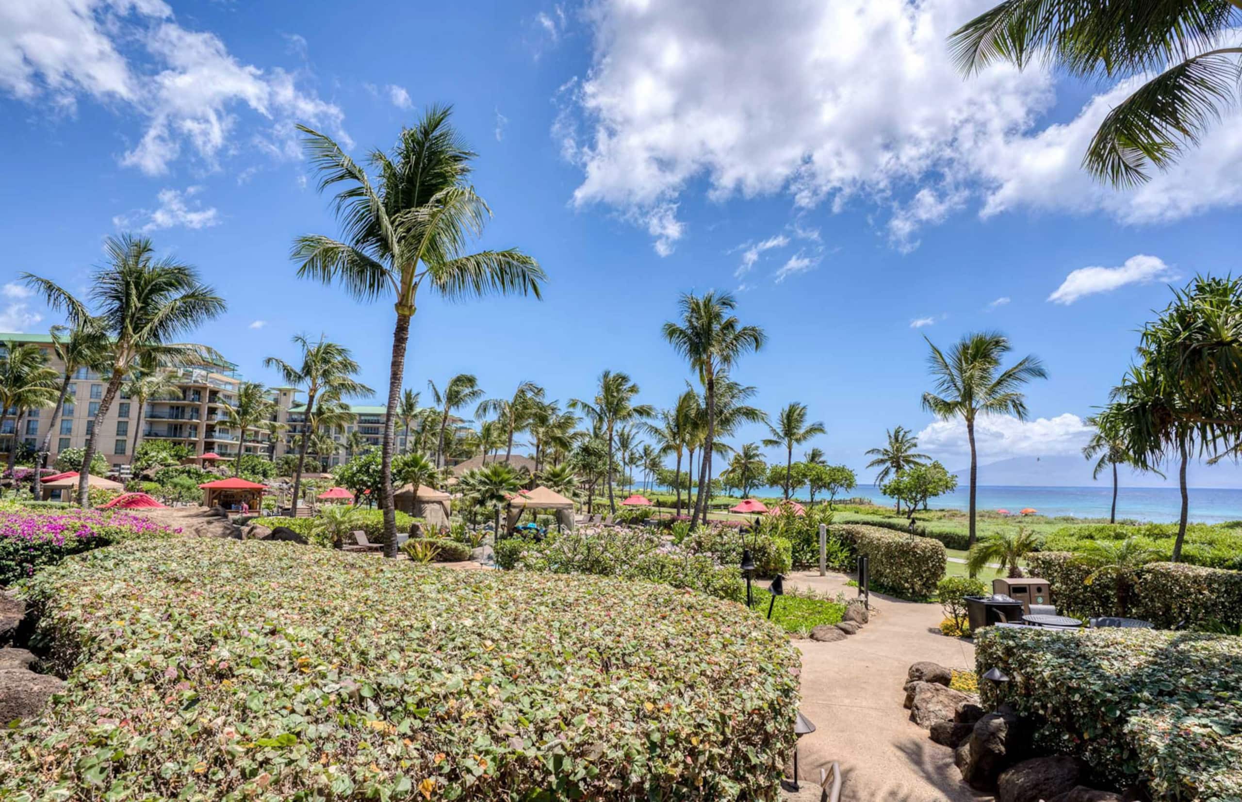 Condo in Lahaina · ★4.84 · 1 bedroom · 2 beds · 1 bath - Image 24