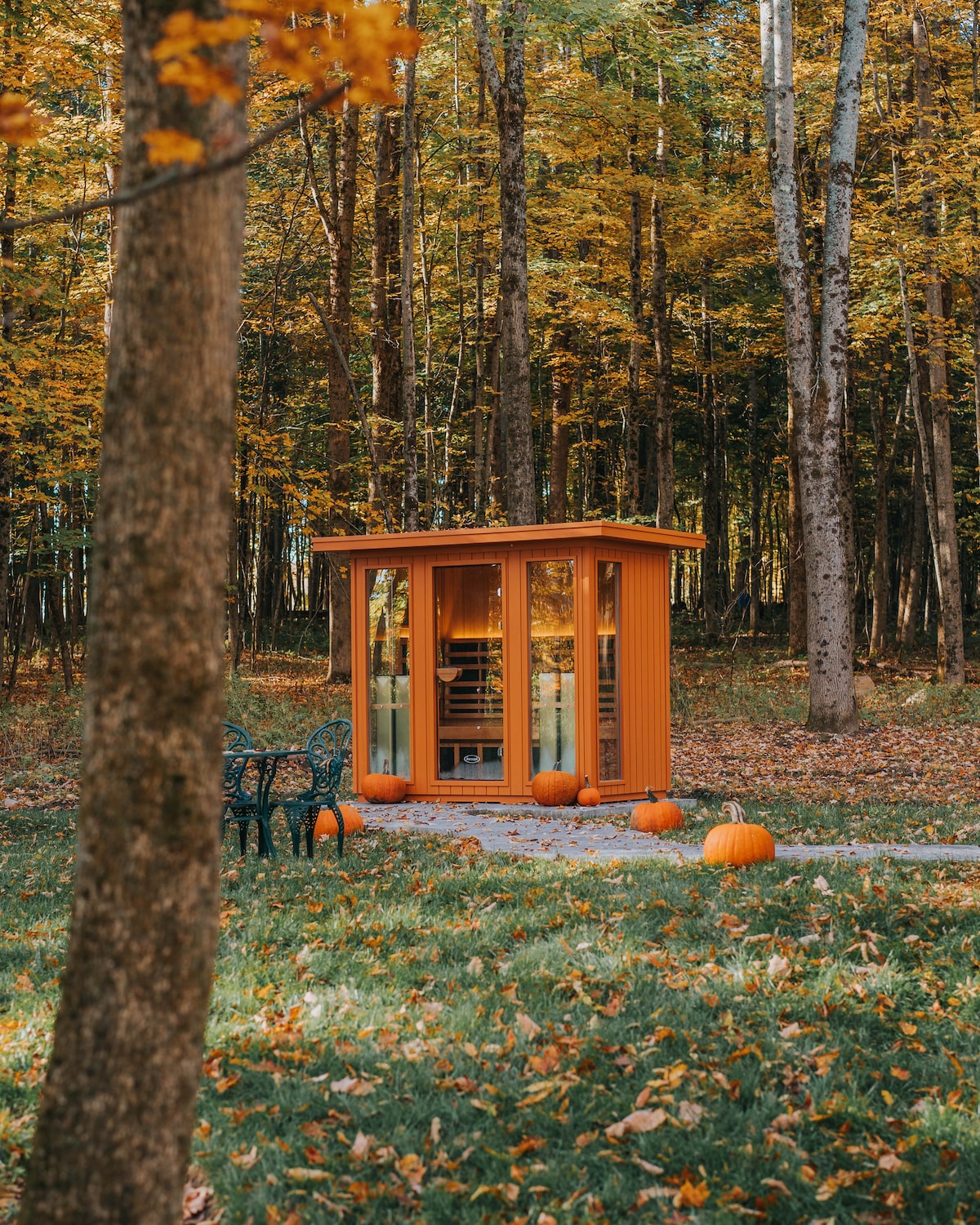 Luxury Tiny House w/ hot tub & sauna Tiny houses for Rent in Barneveld, New York, United