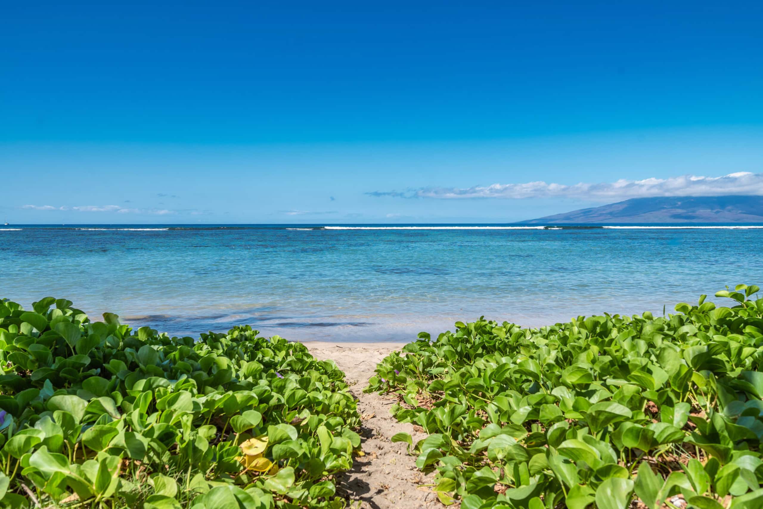 Condo in Lahaina · ★5.0 · 3 bedrooms · 4 beds · 2 baths - Image 13