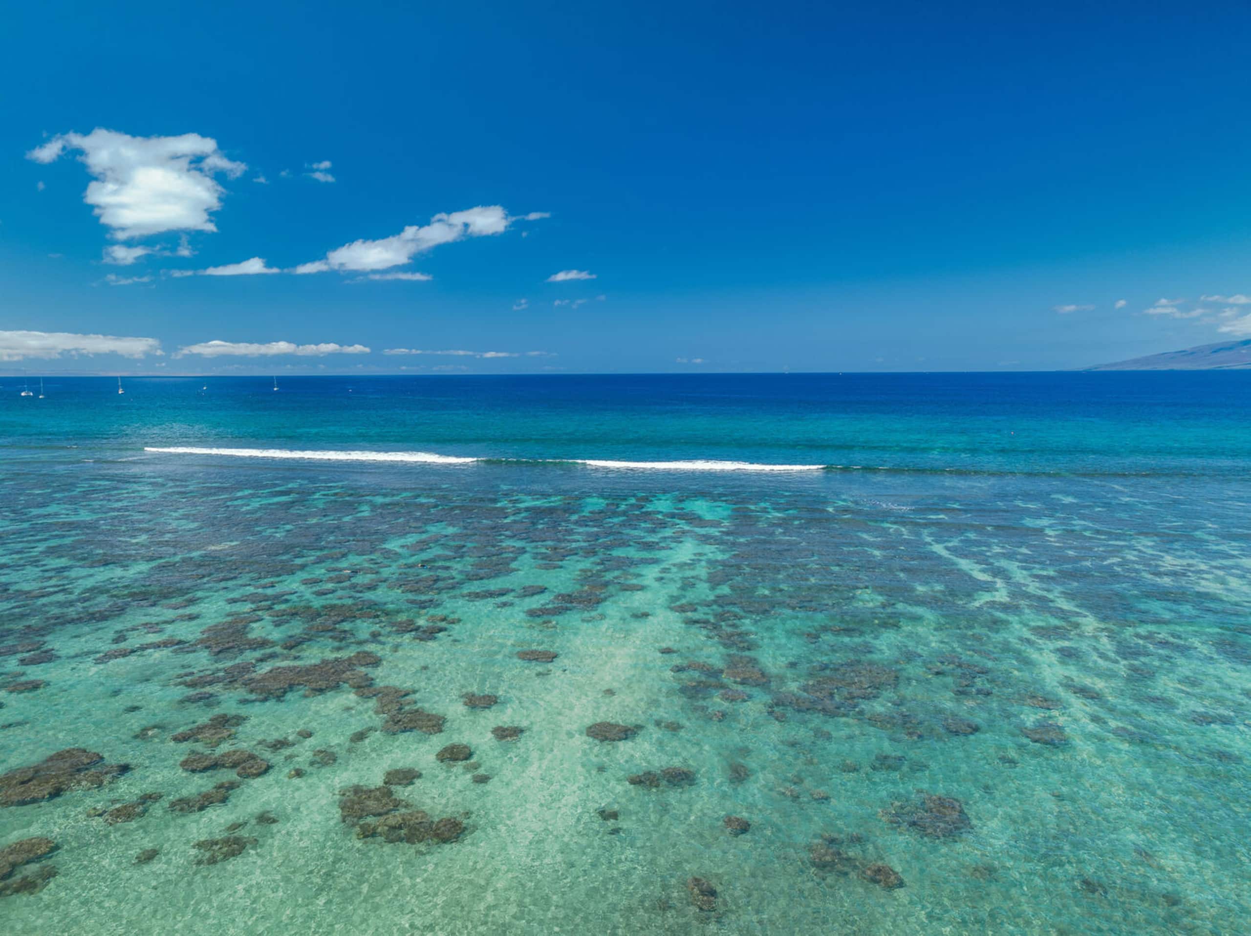 Condo in Lahaina · ★5.0 · 3 bedrooms · 4 beds · 2 baths - Image 65