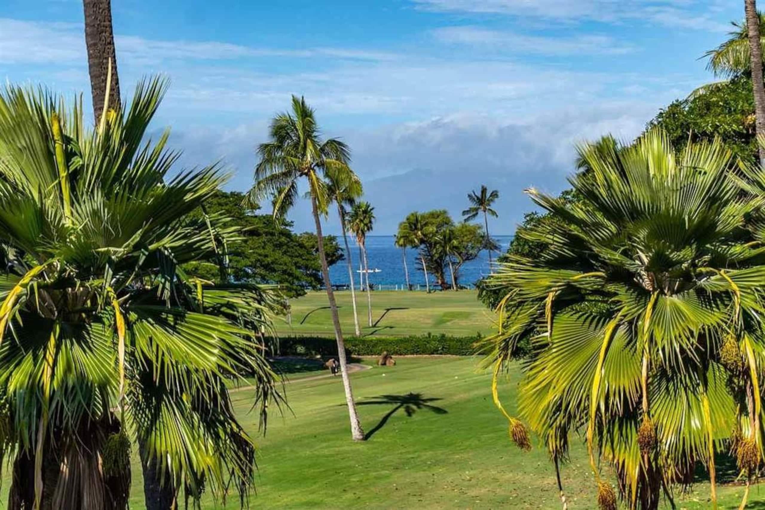 Condo in Lahaina · ★5.0 · 3 bedrooms · 3 beds · 2.5 baths - Image 30