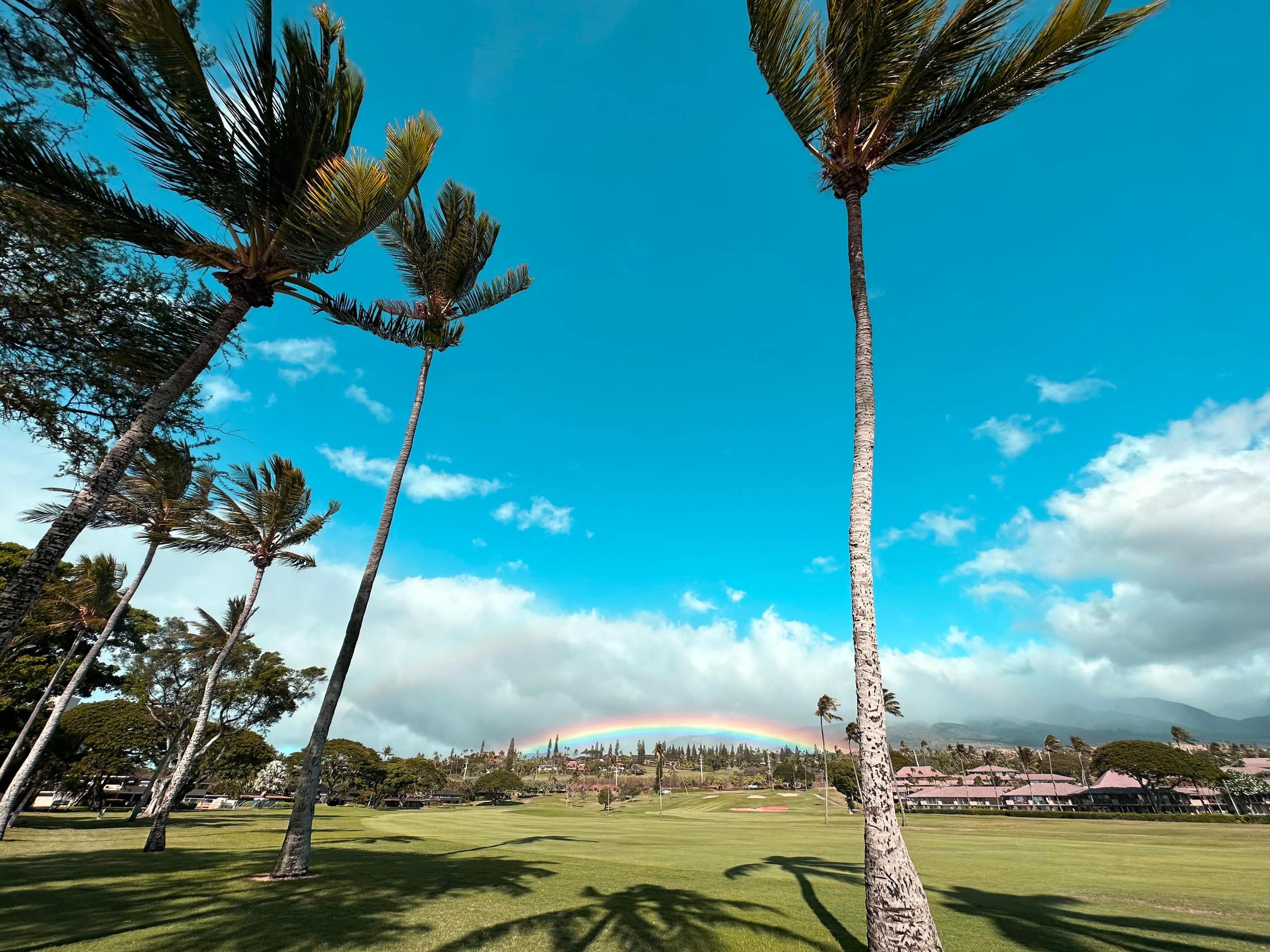 Condo in Lahaina · ★5.0 · 3 bedrooms · 3 beds · 2.5 baths - Image 40