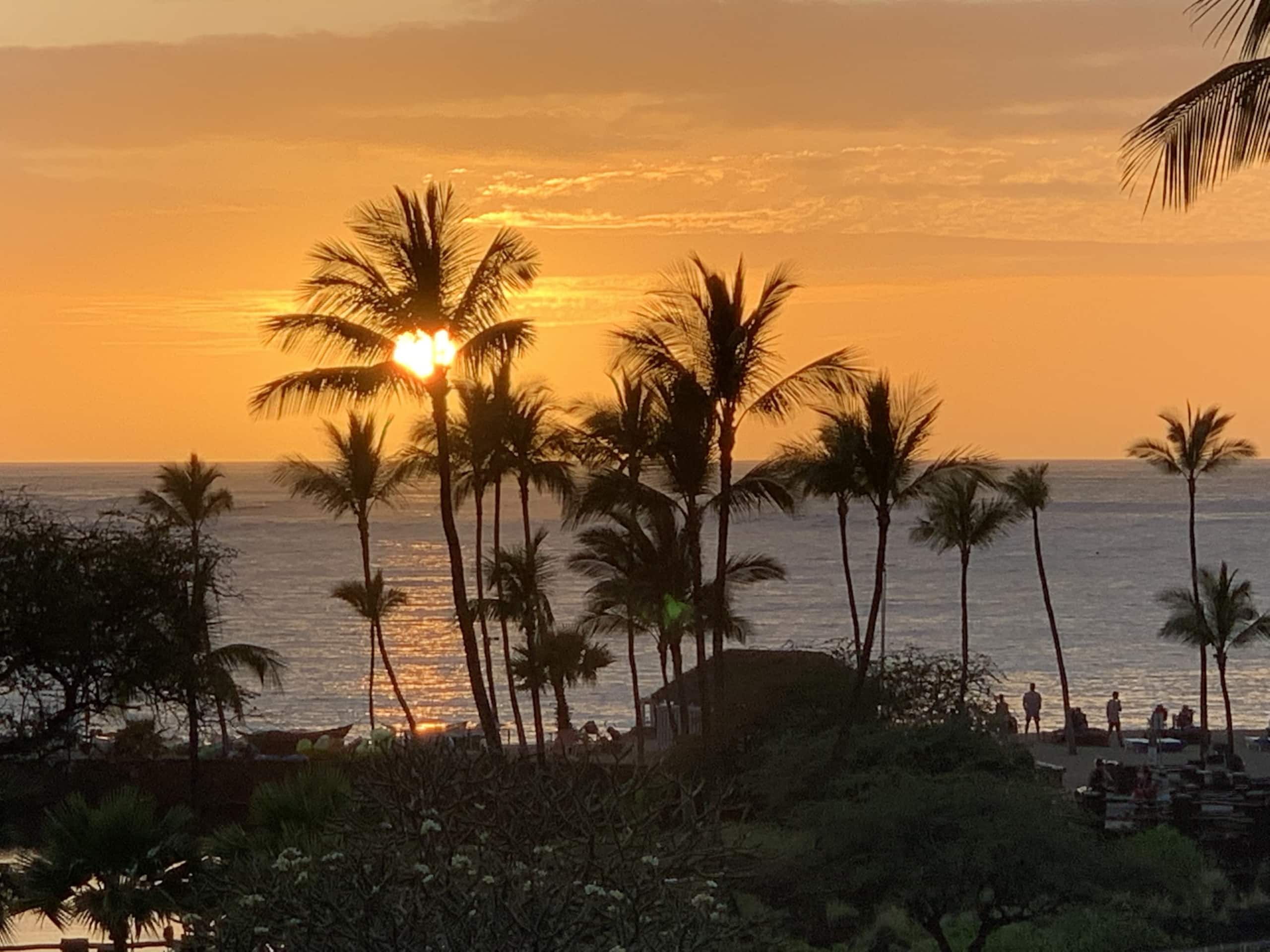 Spacious Ground-Floor Condo, Vista Waikoloa - Photo 31