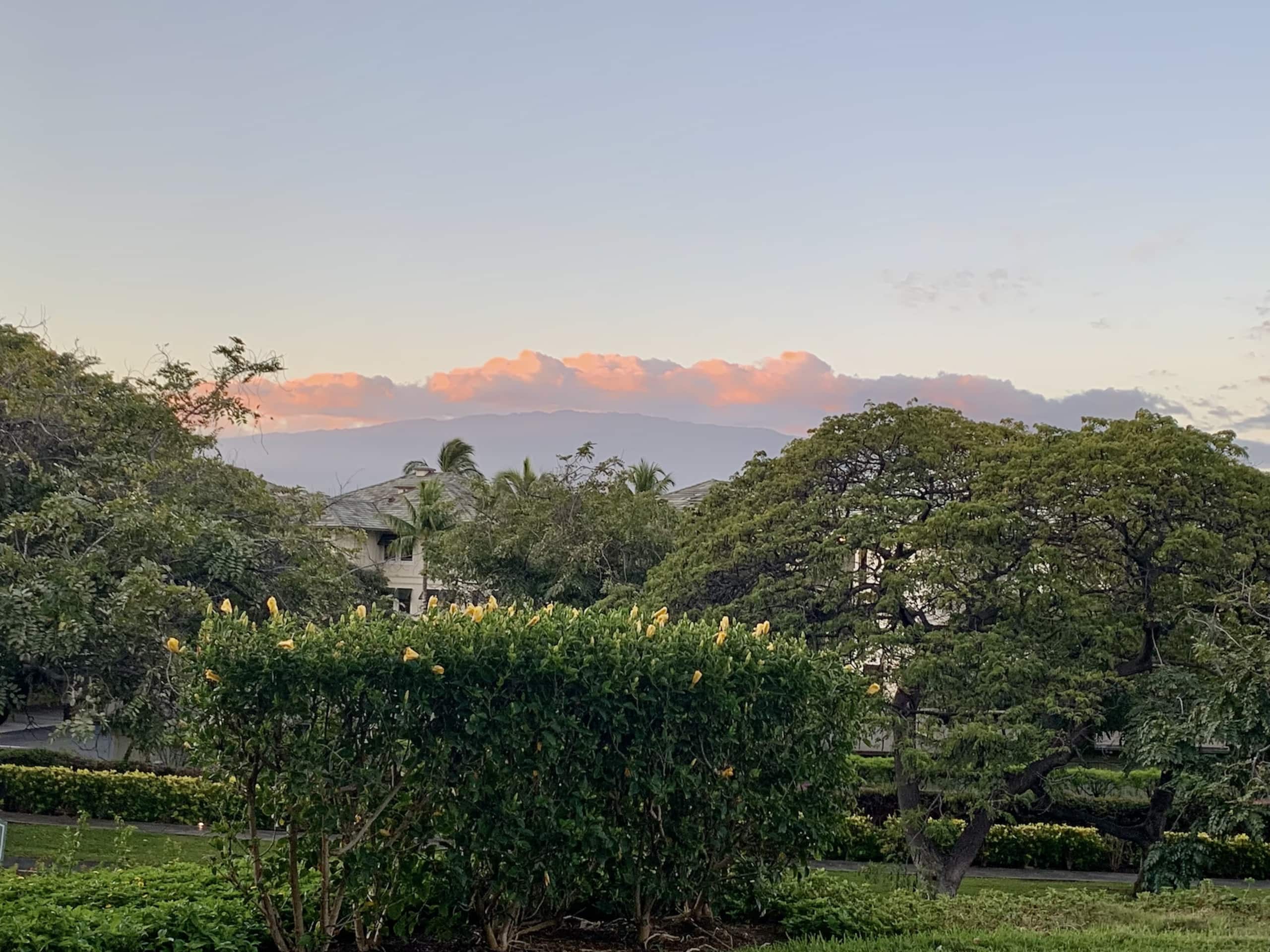 Spacious Ground-Floor Condo, Vista Waikoloa - Photo 22