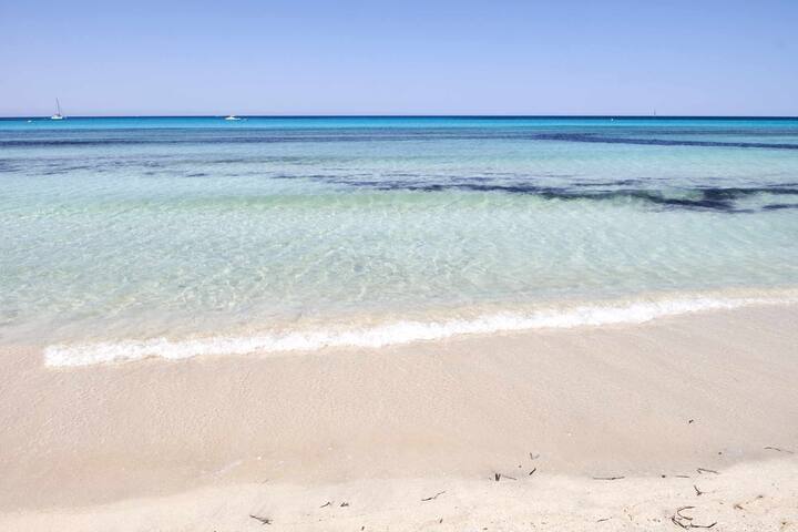 Villas Salinas Family & Friends gallery image 3