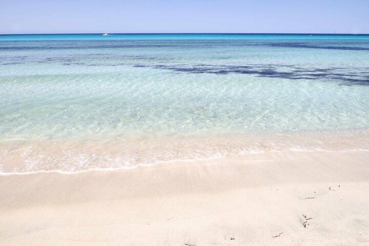 Mallorca Dream 3 km from the beaches gallery image 4