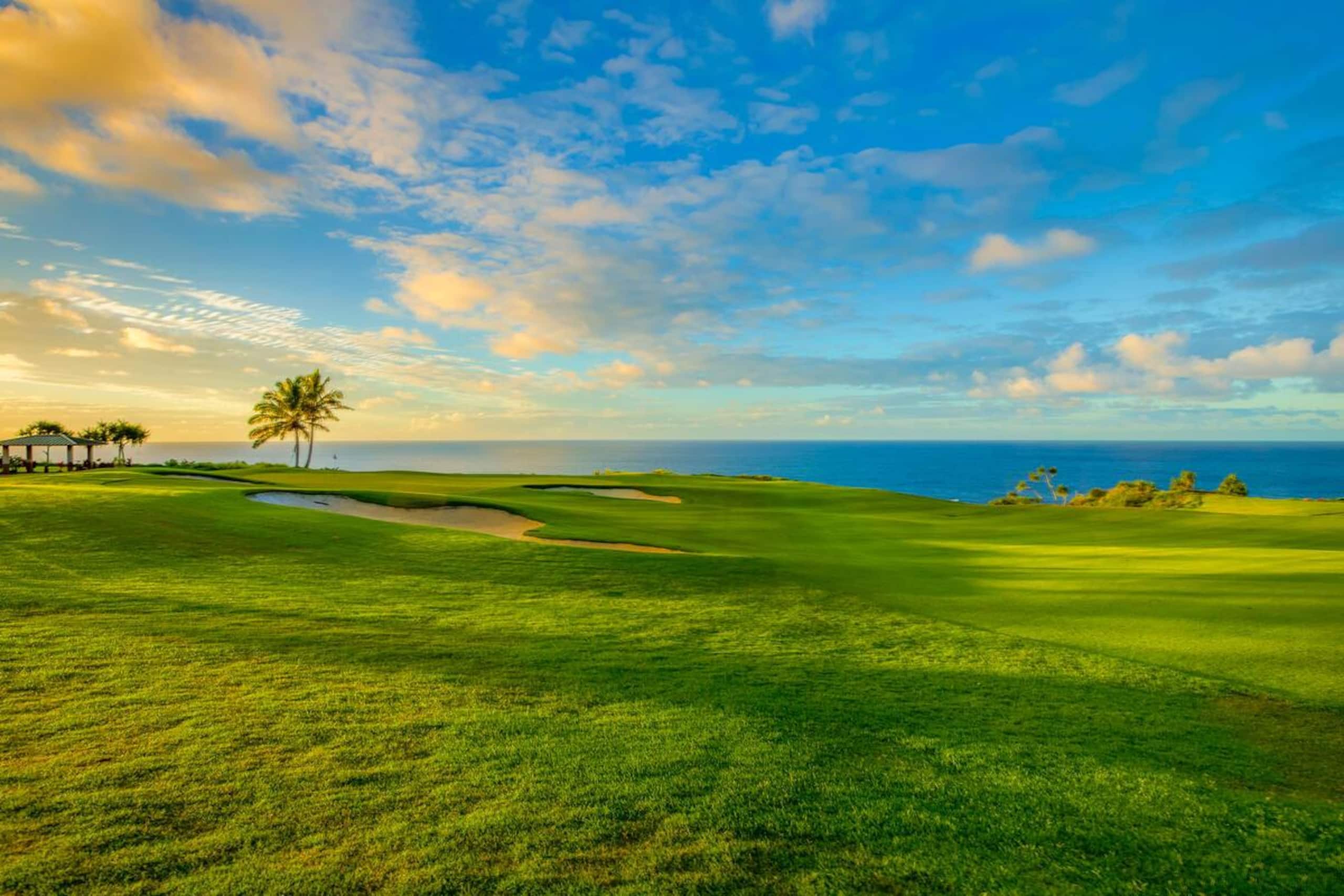Home in Princeville · ★4.62 · 4 bedrooms · 5 beds · 2.5 shared baths - Image 34