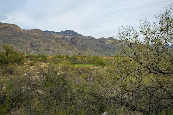 Amazing Interior Upgrades Highlighted By The Pictu - Arizona
