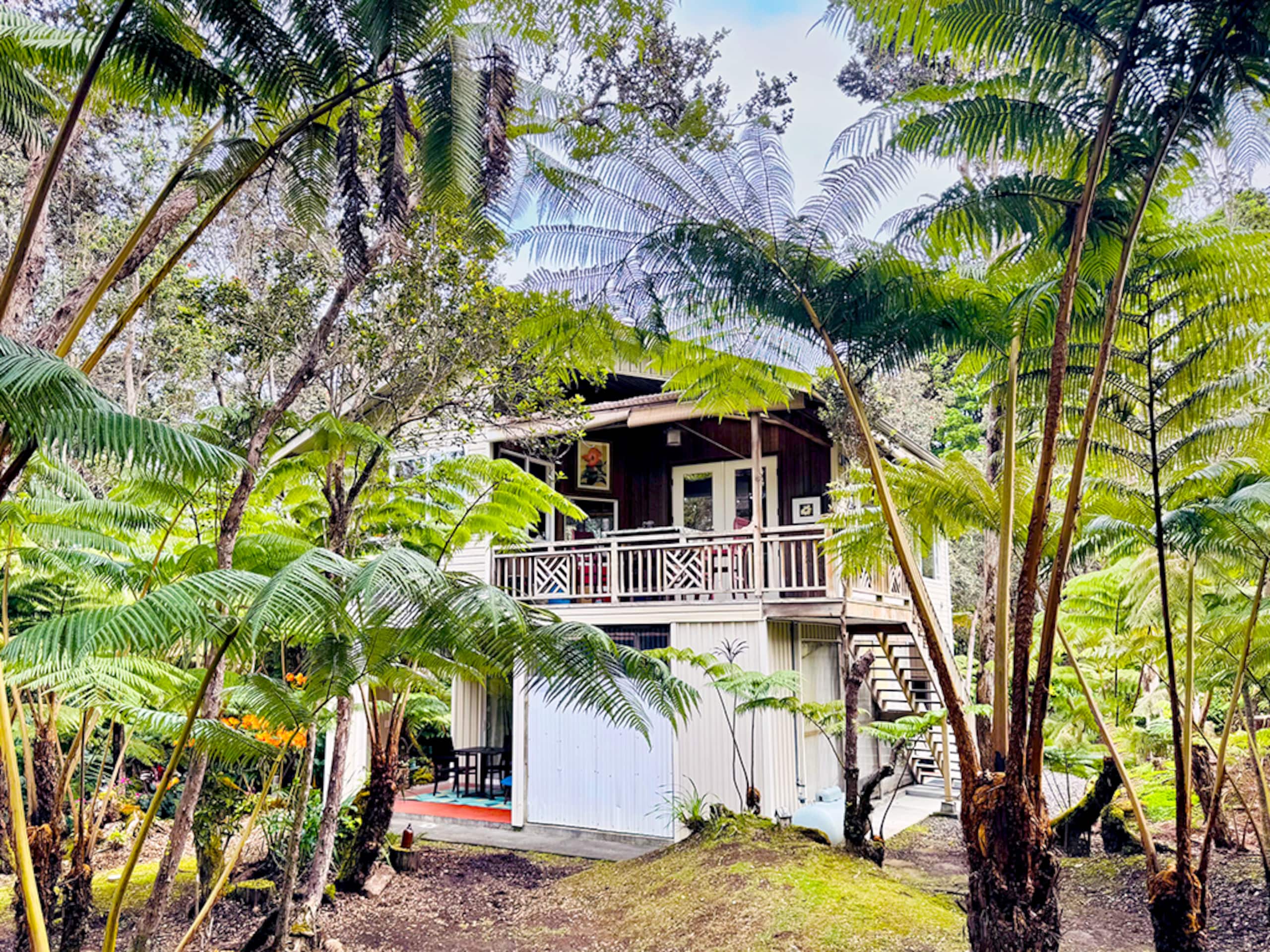Home in Volcano · ★4.94 · 2 bedrooms · 2 beds · 2 baths - Image 18