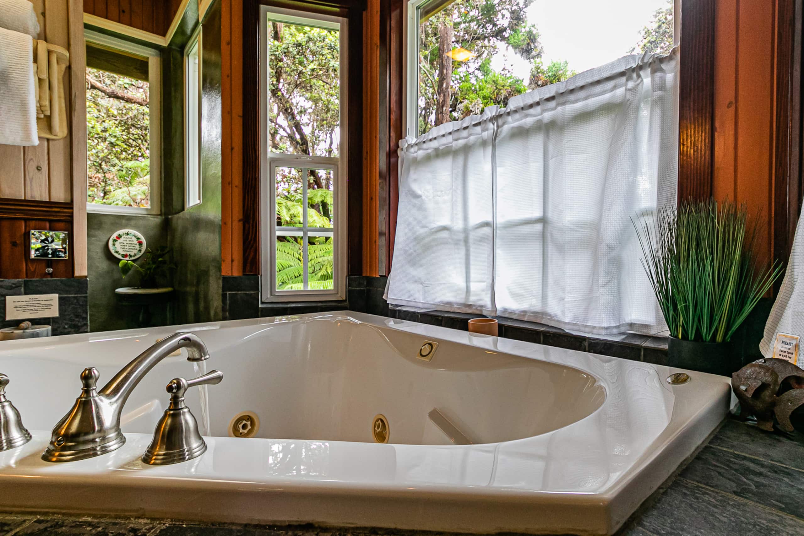 Home in Volcano · ★4.94 · 2 bedrooms · 2 beds · 2 baths - Image 13