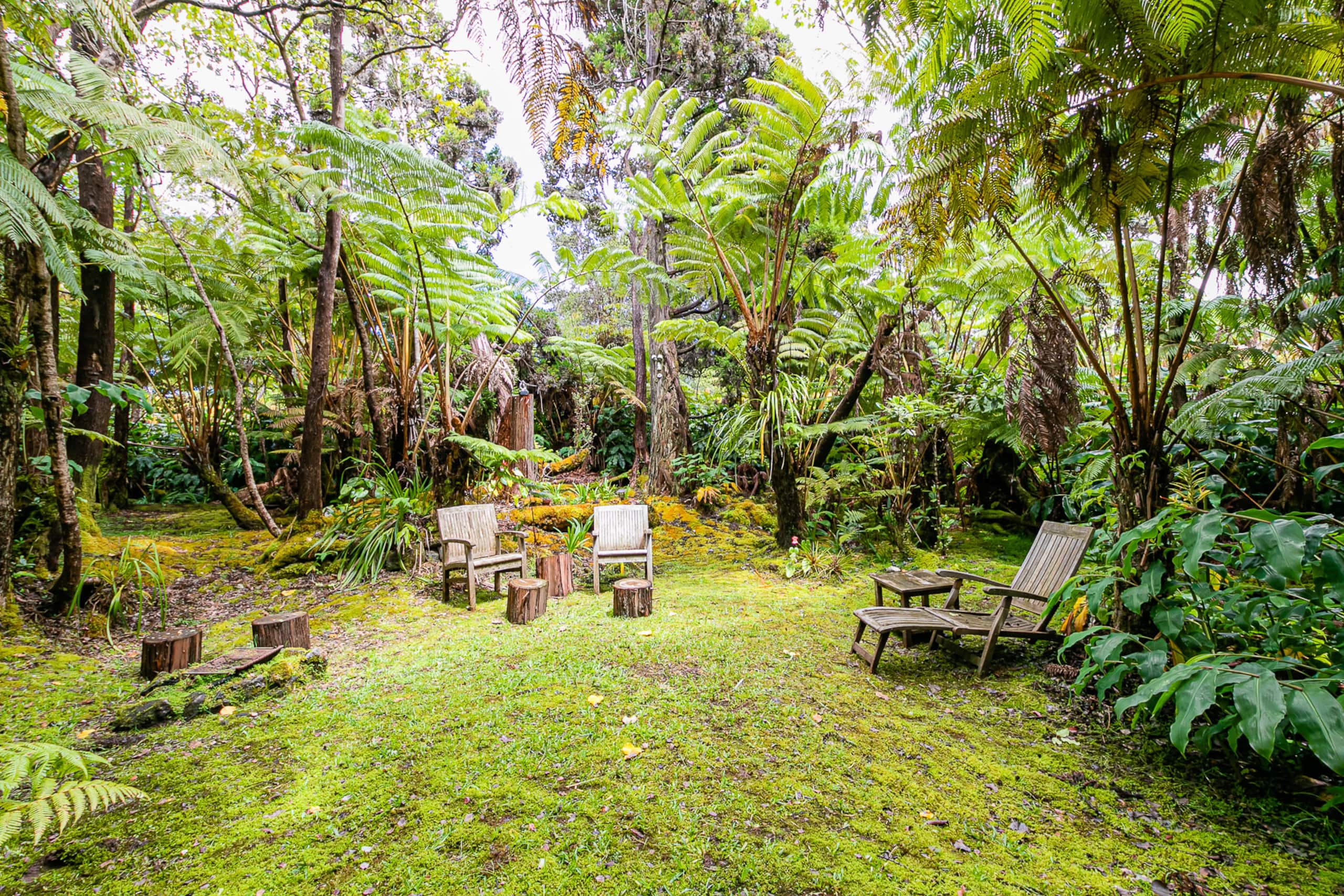 Home in Volcano · ★4.94 · 2 bedrooms · 2 beds · 2 baths - Image 17