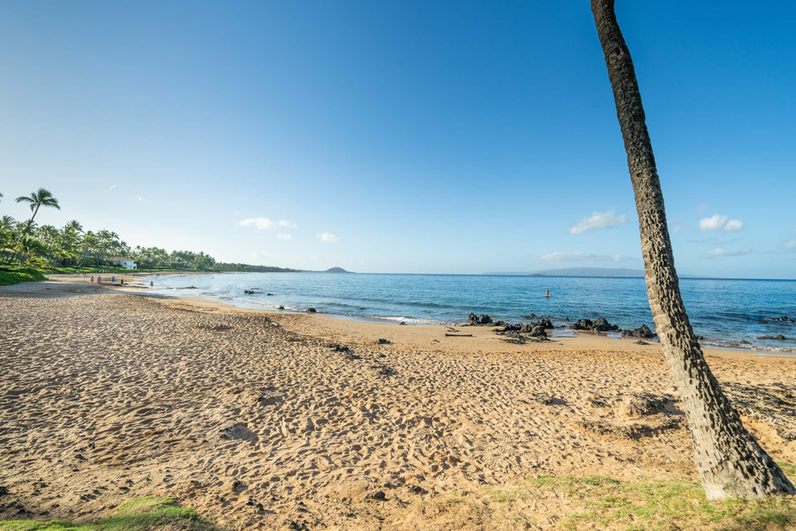 Condo in Kihei · ★4.62 · 2 bedrooms · 3 beds · 2 baths - Image 42