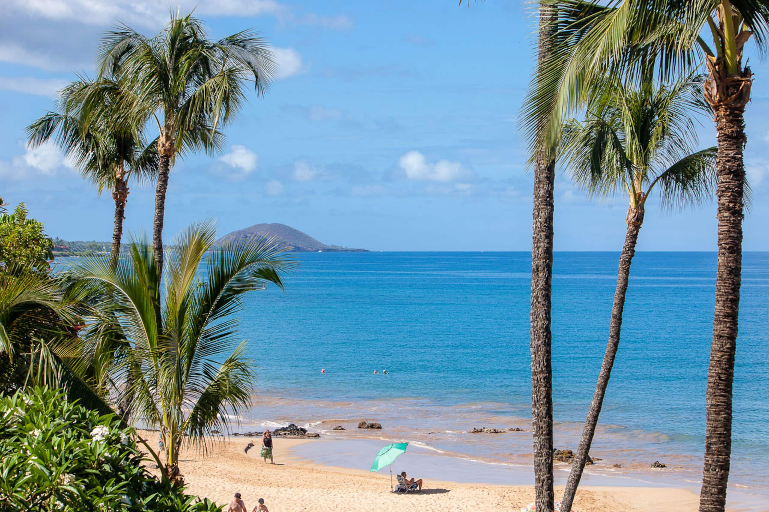 Condo in Kihei · ★4.62 · 2 bedrooms · 3 beds · 2 baths - Image 48