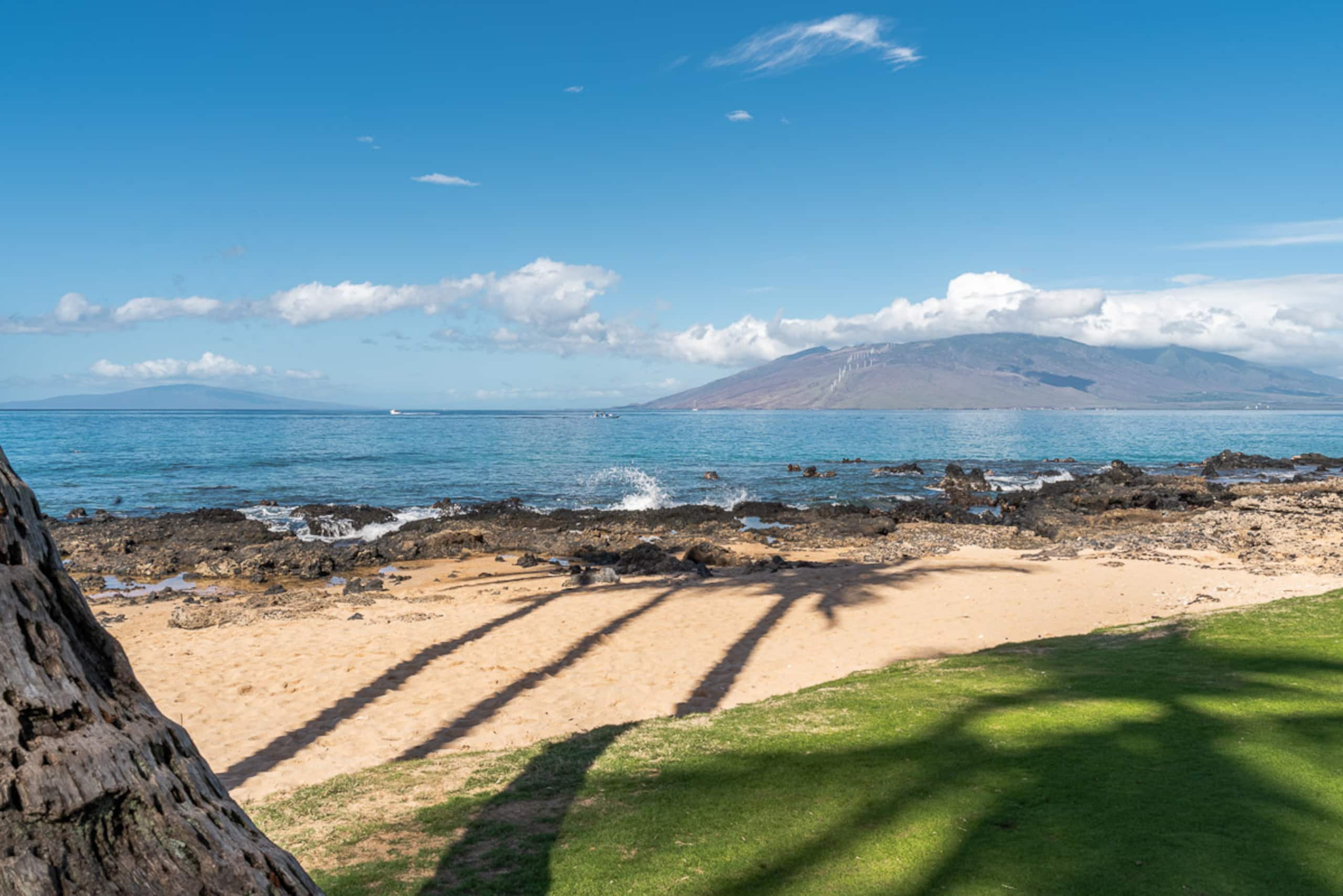 Condo in Kihei · ★4.62 · 2 bedrooms · 3 beds · 2 baths - Image 43