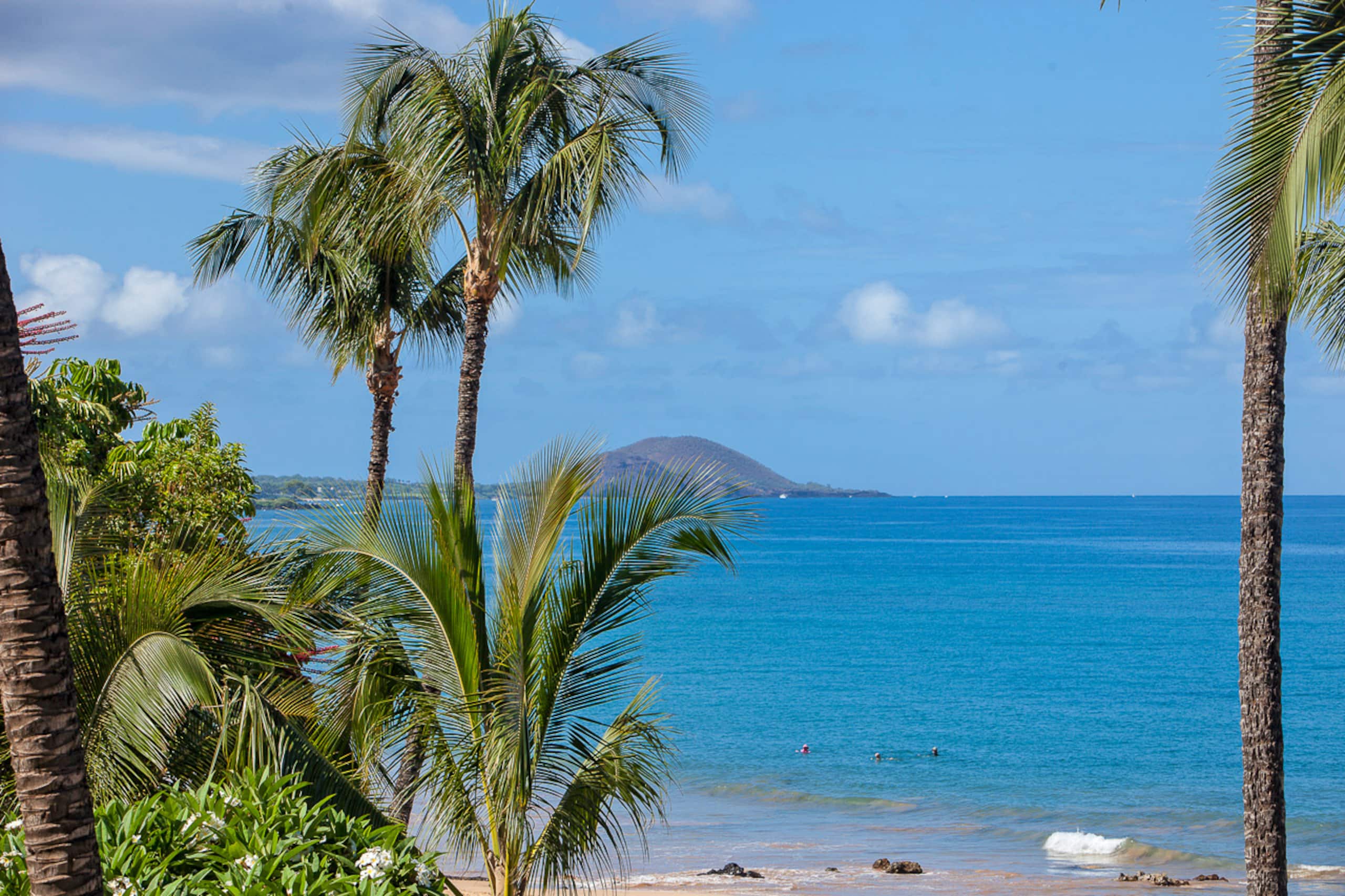 Condo in Kihei · ★4.62 · 2 bedrooms · 3 beds · 2 baths - Image 44