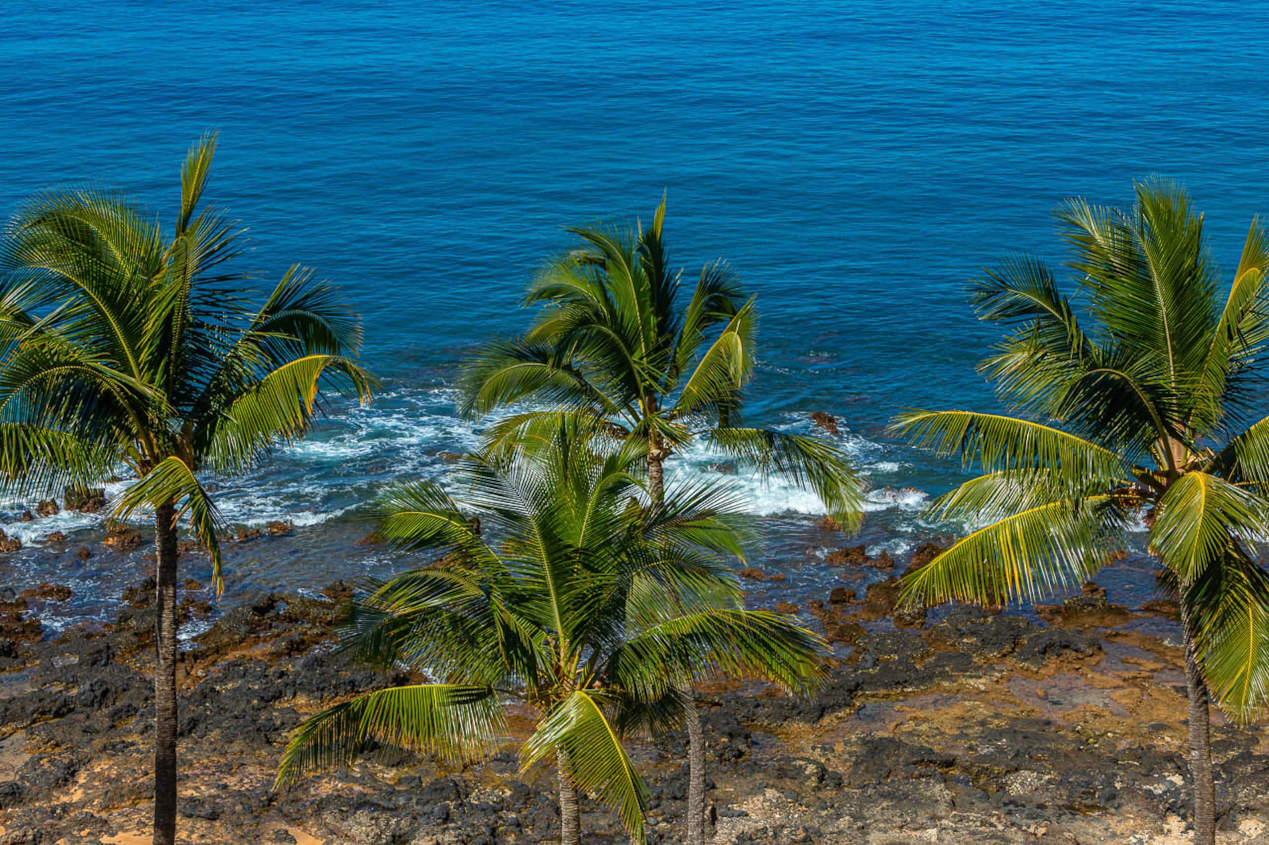 Condo in Kihei · ★4.62 · 2 bedrooms · 3 beds · 2 baths - Image 49