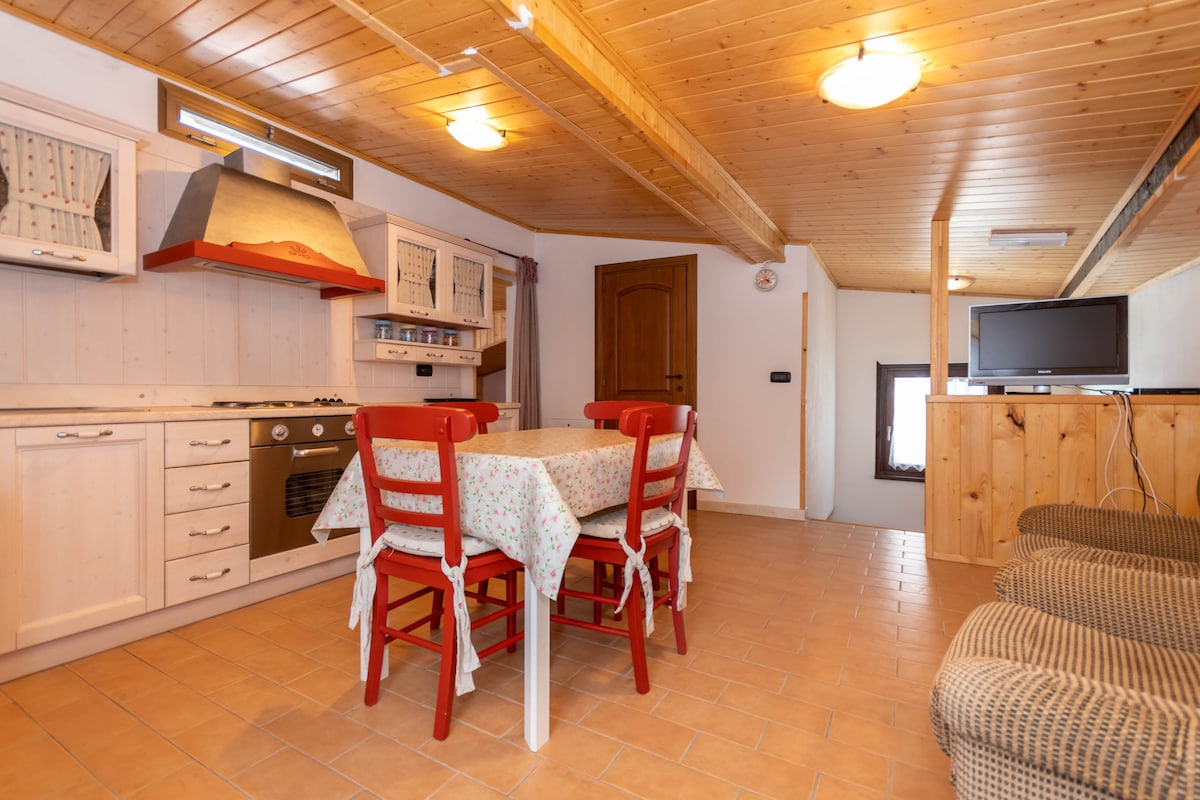 Top performing Airbnb: Villa Simona P2 in Falcade