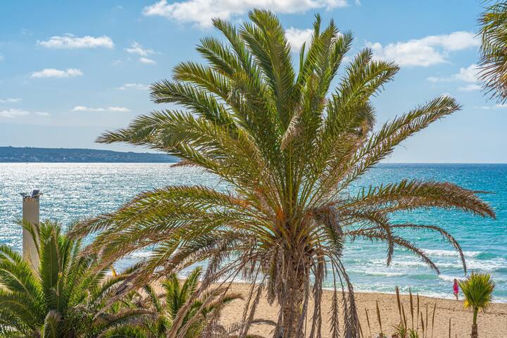 Ana House gallery image 3