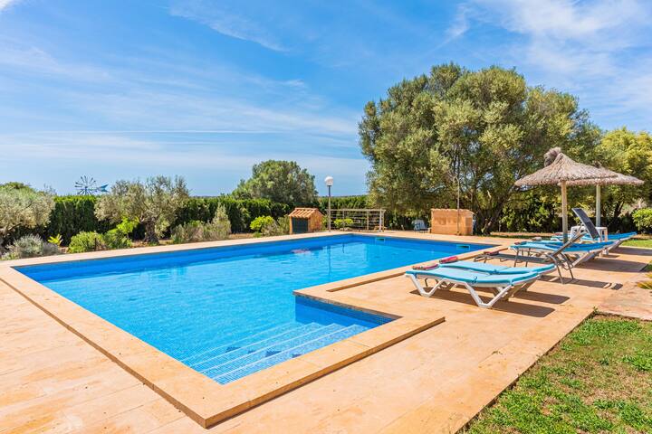 Can Bou gallery image 2