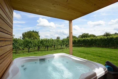 fougere with Jacuzzi le Clos des Vignes