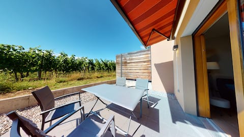 lavender in the vineyard