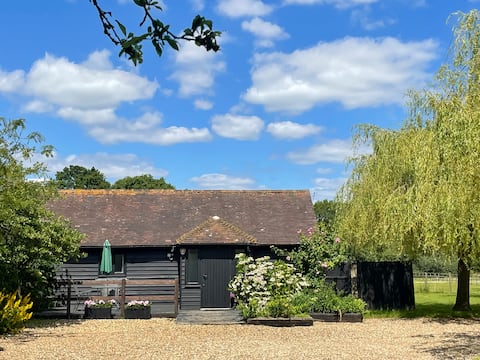 Popular Airbnb listing: Maplehurst Children's Stables in Maidstone
