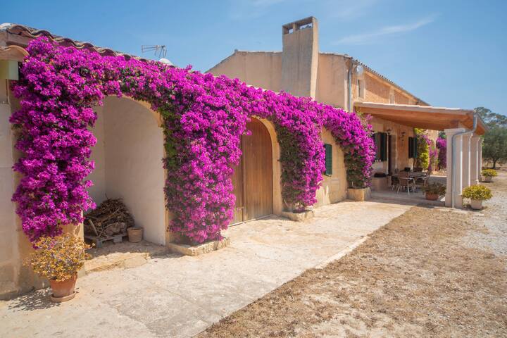 Sa Clota Nova gallery image 2