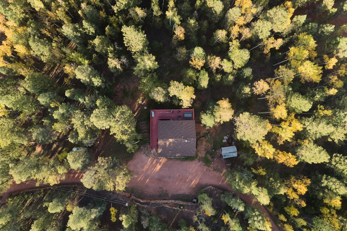 The cabin is nestled among a dense forest of green and golden aspen trees, surrounded by nature's tranquility. A dirt road leads towards the property, which features a red exterior and a sloped roof, blending into the wooded landscape.