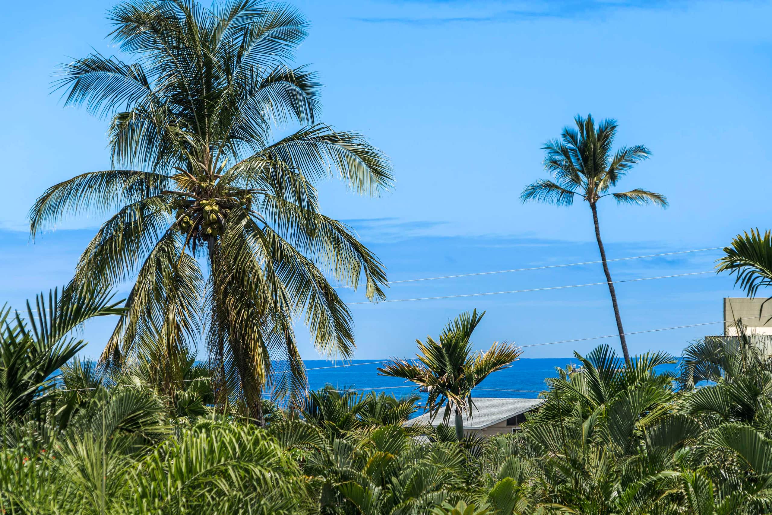 Home in Kailua-Kona · ★4.79 · 4 bedrooms · 7 beds · 4 shared baths - Image 38