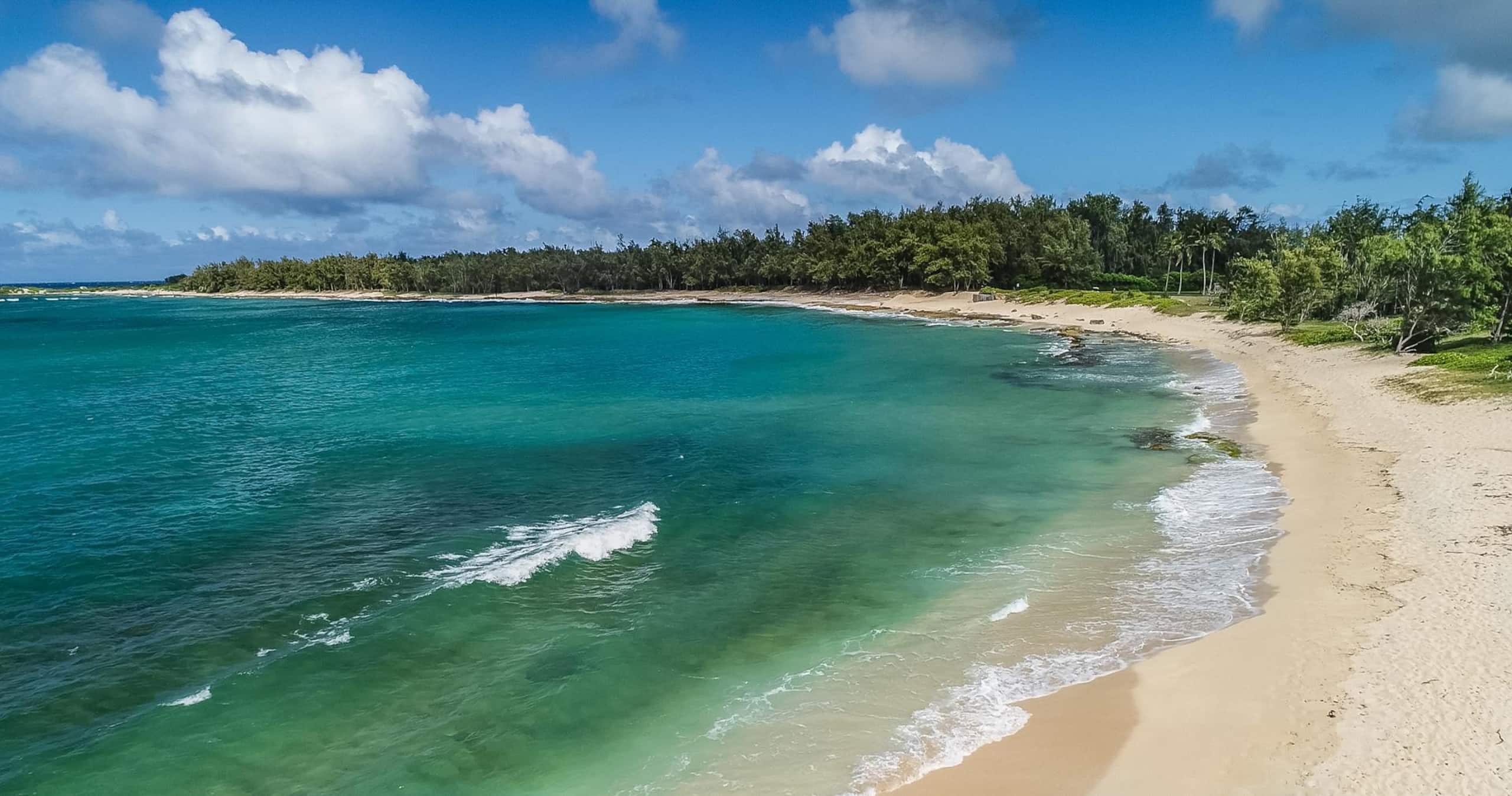 Condo in Kahuku · ★4.99 · 1 bedroom · 2 beds · 1 private bath - Image 25