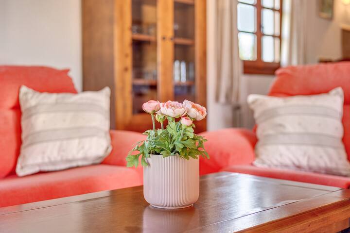 Villa Joana gallery image 5