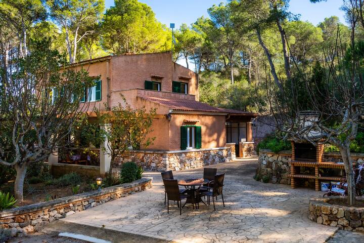 Finca Perello gallery image 5