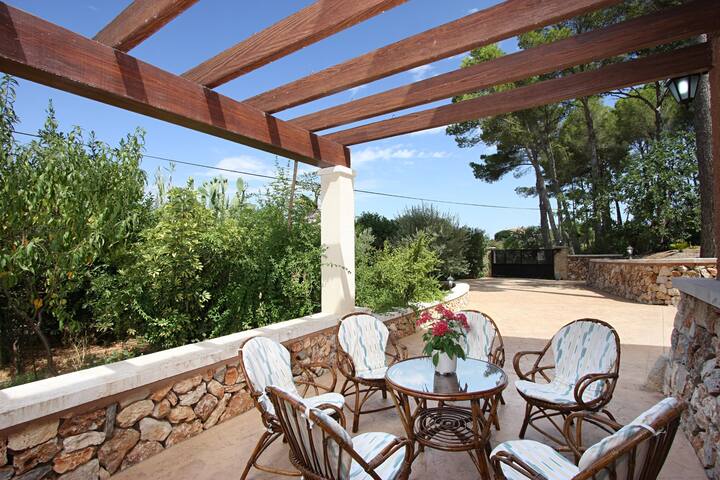 Finca Perello gallery image 4