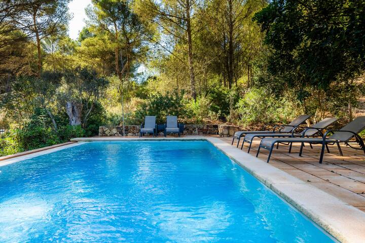 Finca Perello gallery image 3