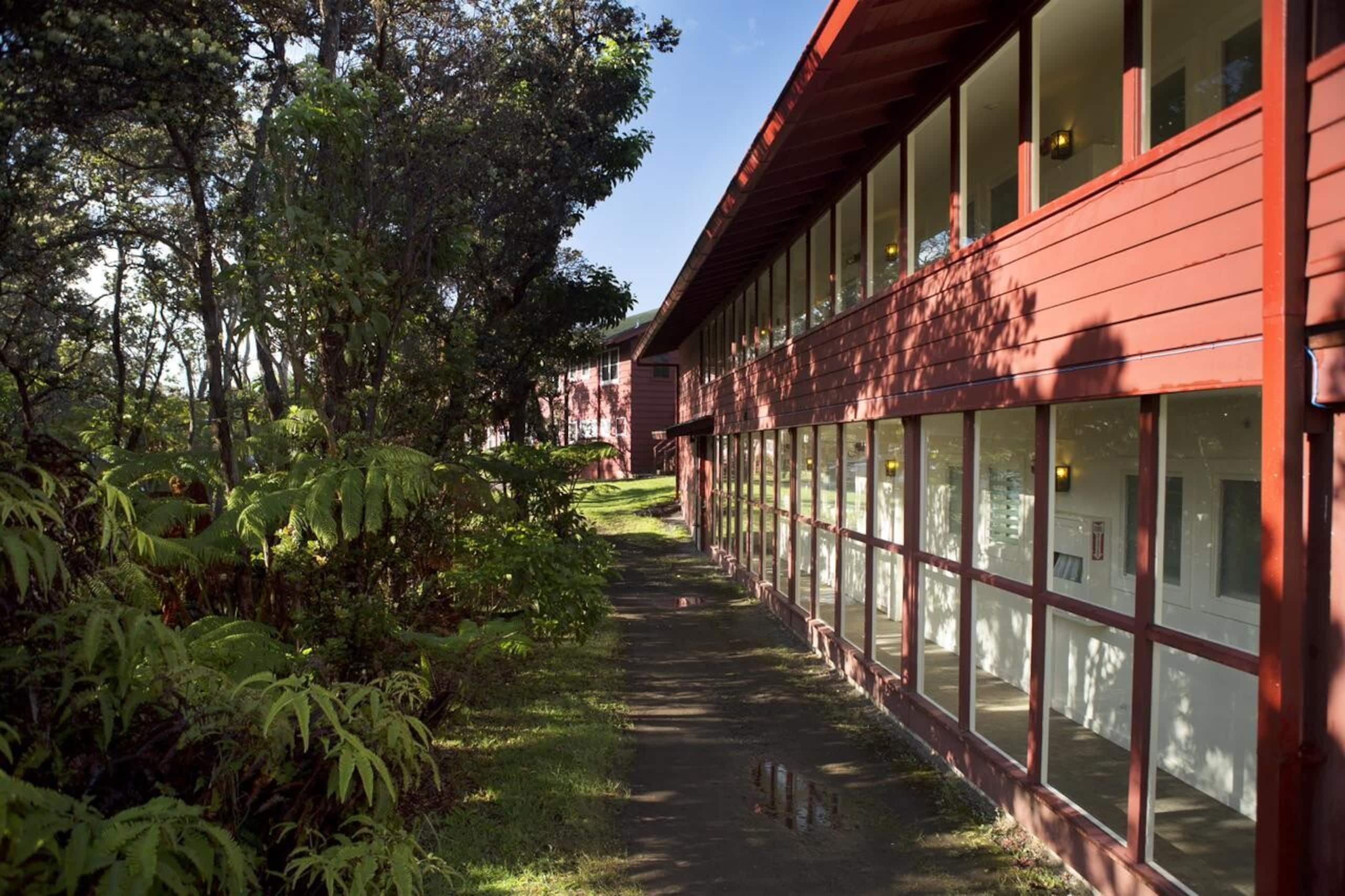 Hotel in Pahoa · ★4.33 · 1 bedroom · 1 private bath - Image 9