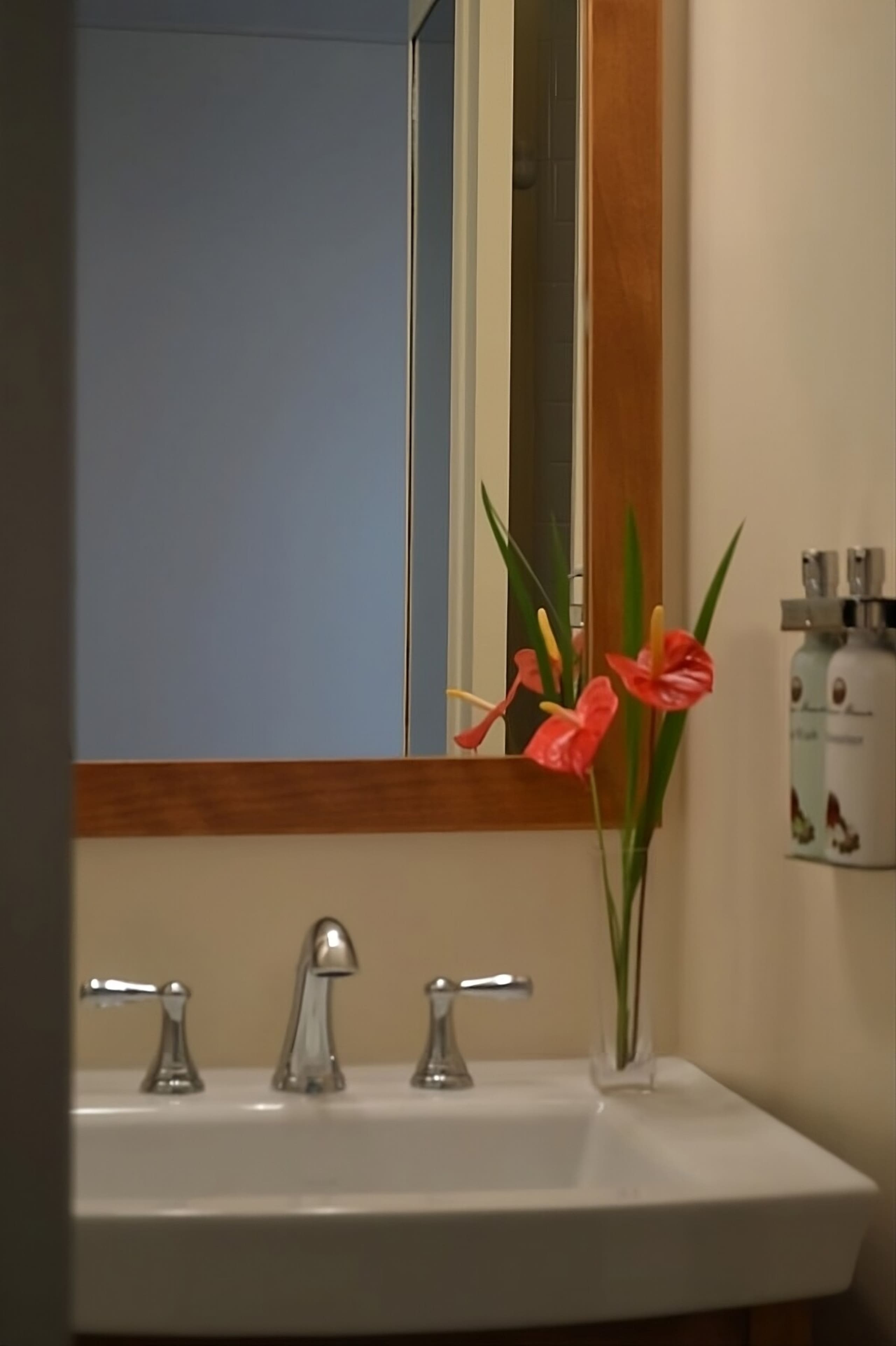 Hotel in Pahoa · ★4.33 · 1 bedroom · 1 private bath - Image 4