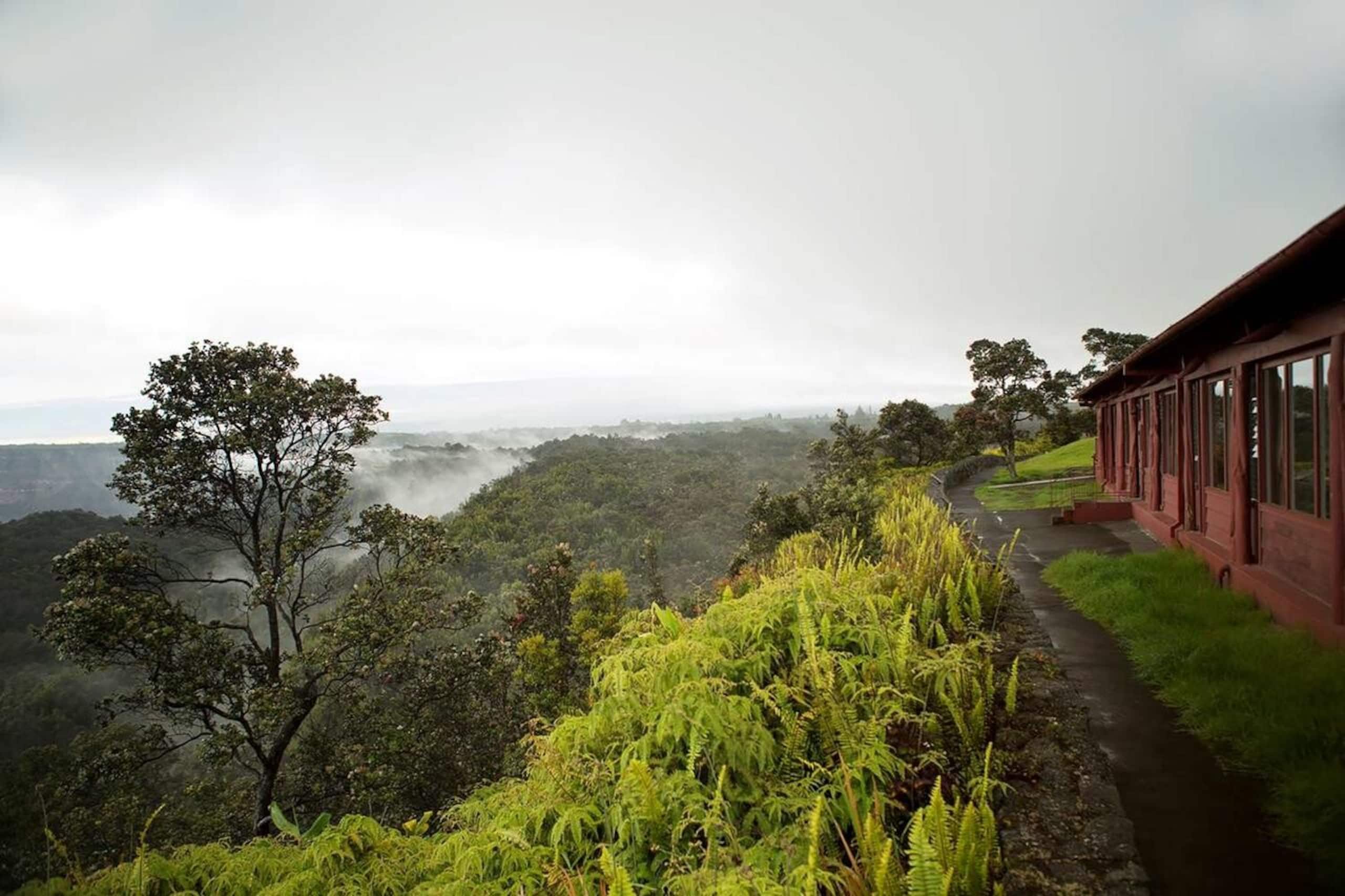 Hotel in Pahoa · ★4.33 · 1 bedroom · 1 private bath - Image 12