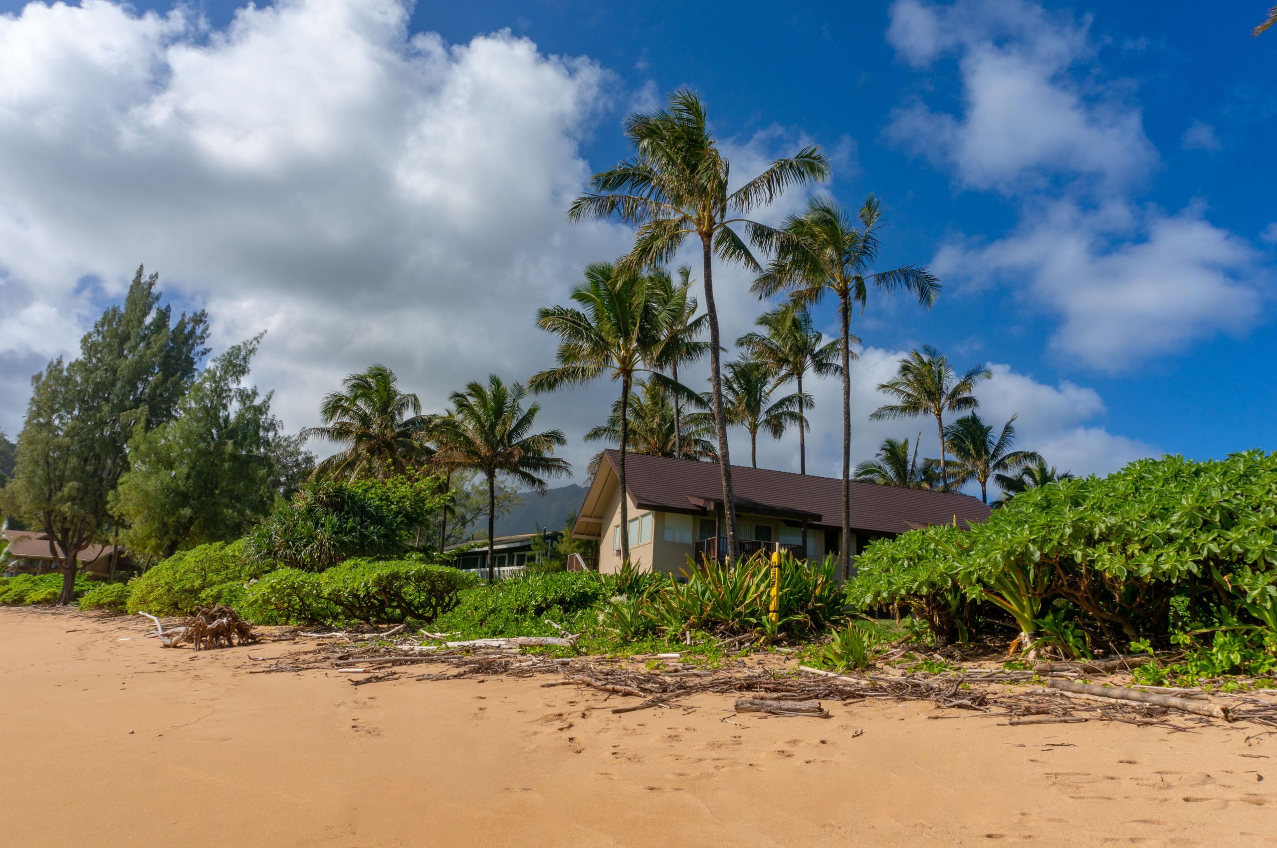 Condo in Hanalei · ★4.61 · 2 bedrooms · 3 beds · 2 baths - Image 35