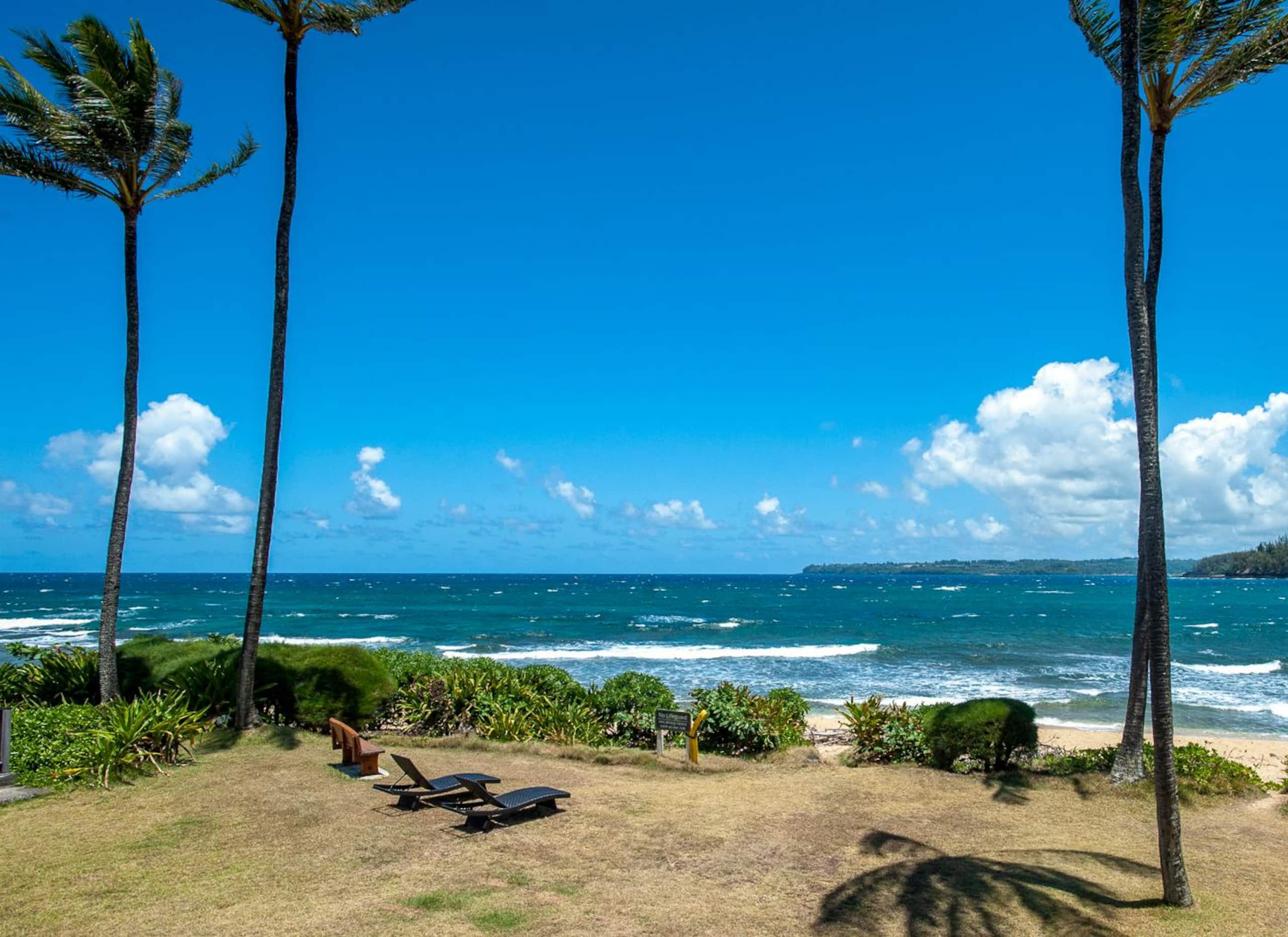 Condo in Hanalei · ★4.61 · 2 bedrooms · 3 beds · 2 baths - Image 37